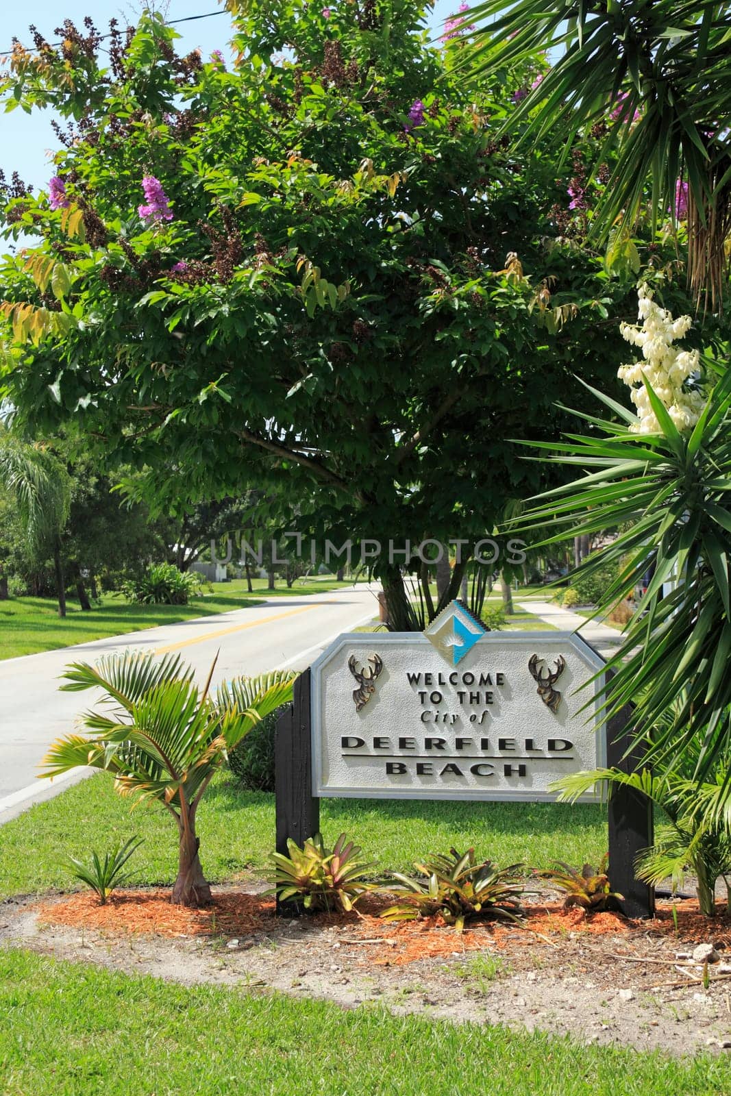 DEERFIELD BEACH, FLORIDA - JUNE 20, 2013