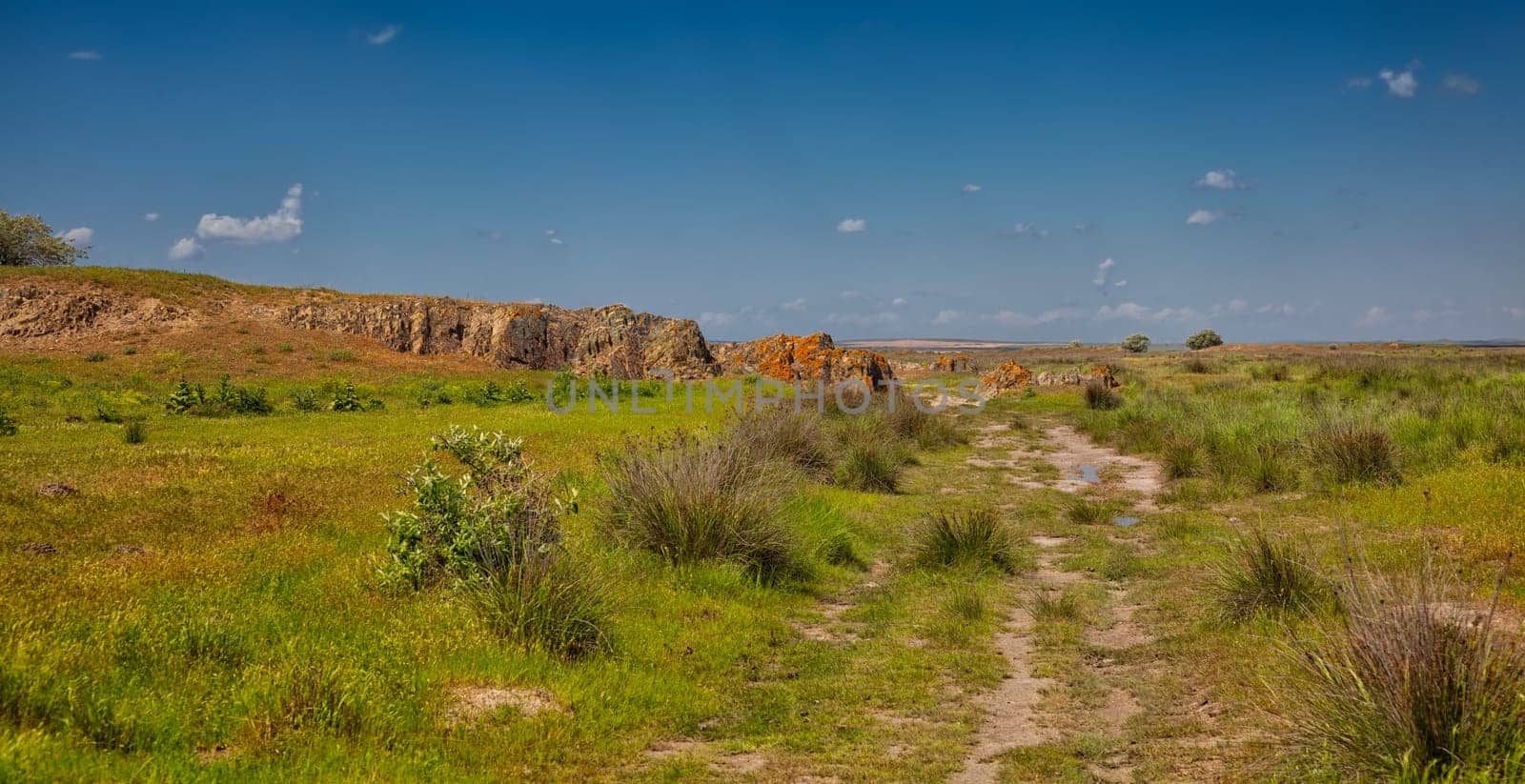 Summer landscape in the Danube Delta Biosphere Reserve, Vadu, Romania.