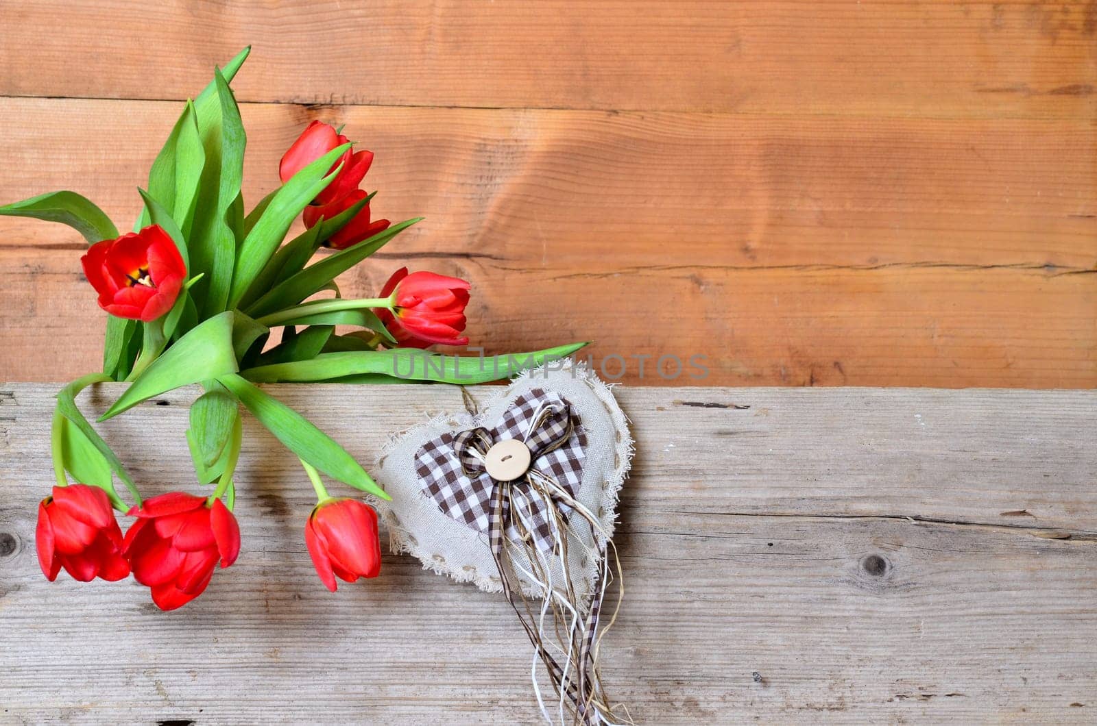 Spring Wood Background