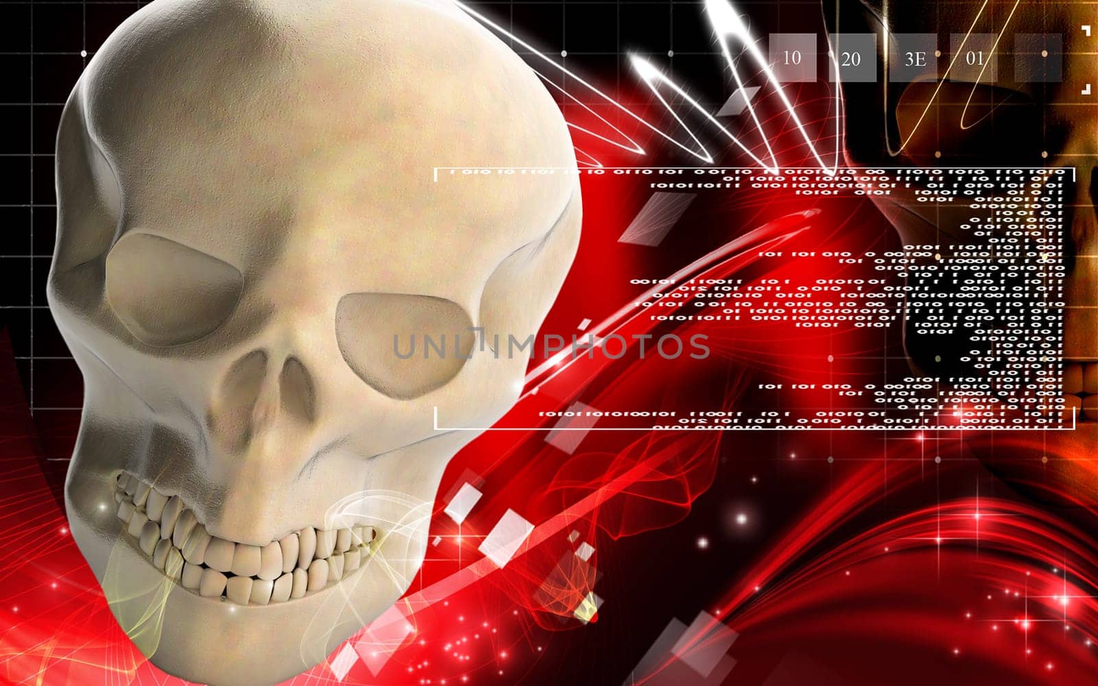 Digital illustration of Human skull in colour background