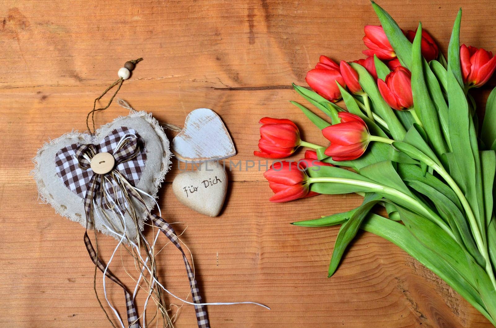 Spring Wood Background