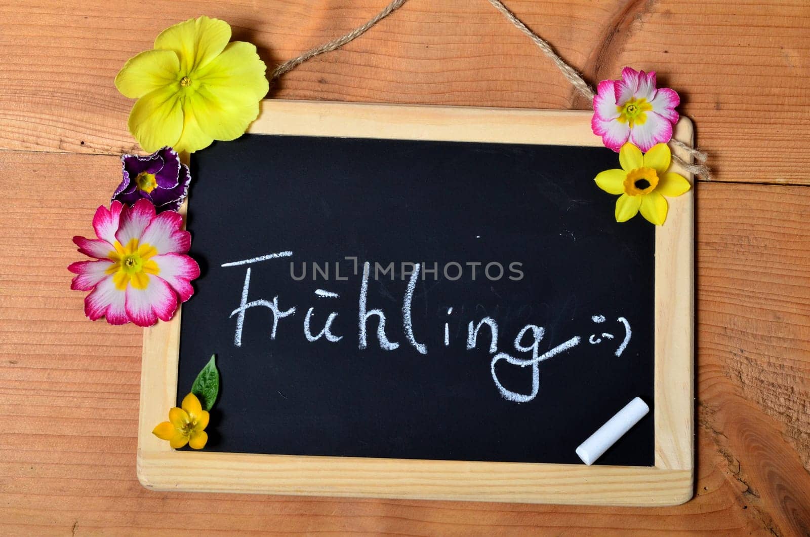 Table with flowers in spring
