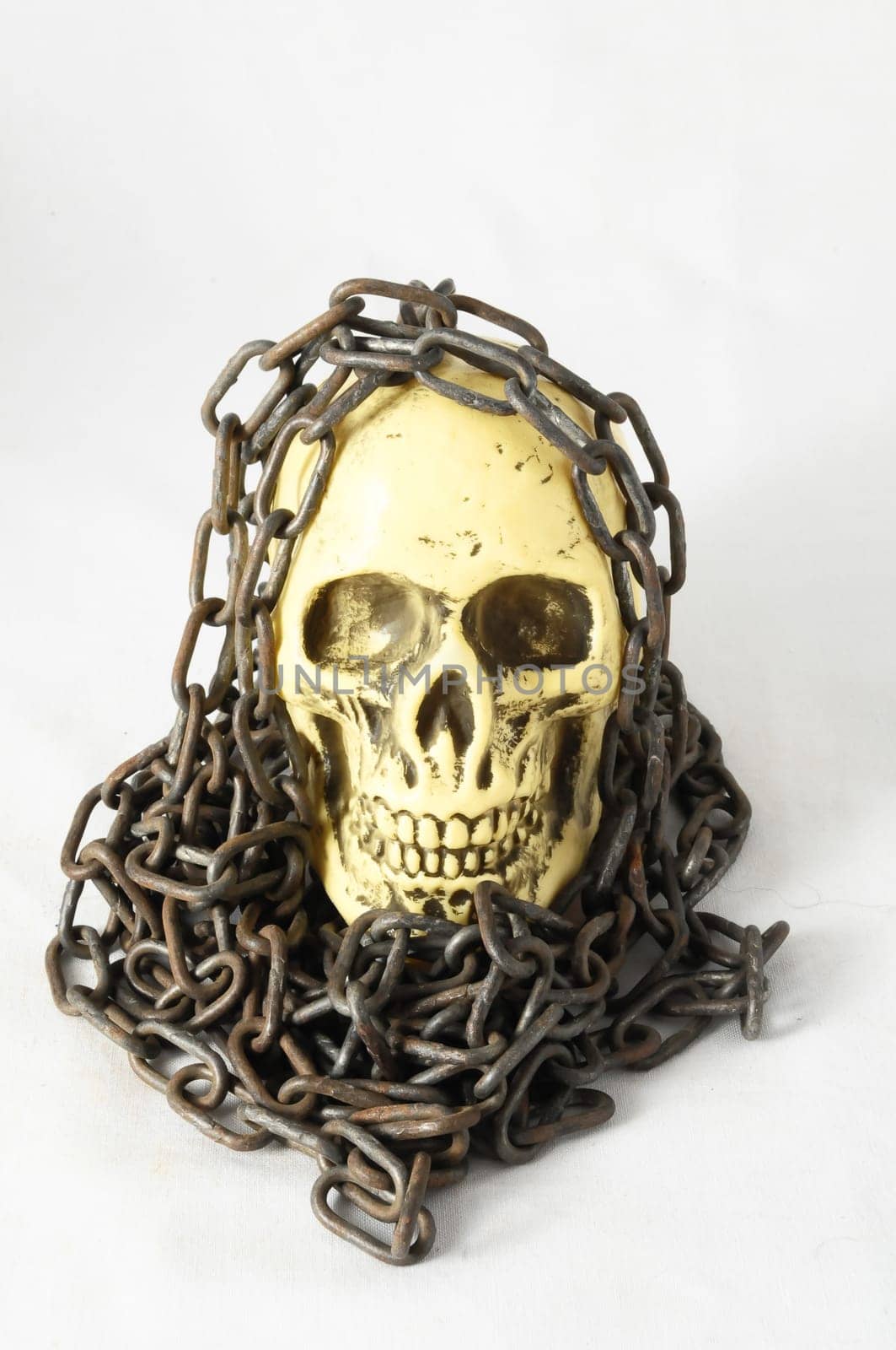 Skull and old Chains on a White Background