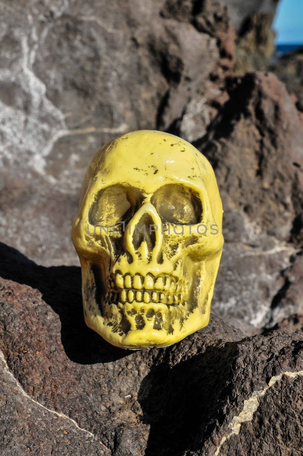 Ancient Vintage Human Skull Head on the rocks