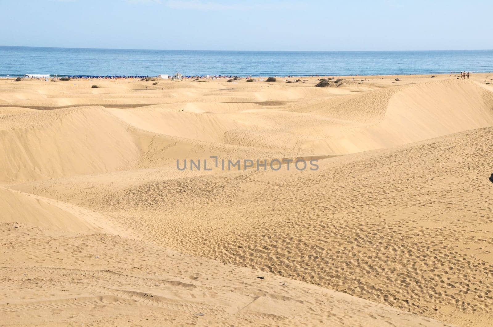 African European Sand Dune Desert Landscape in Gran Canaria Island Spain