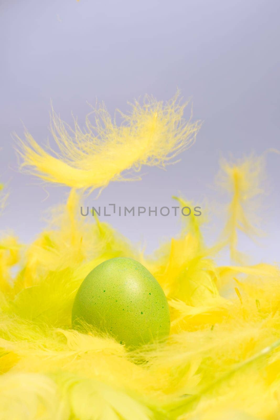 funny,amusing and joyful photo of green easter egg in yellow feathers,visible feather falling down.
