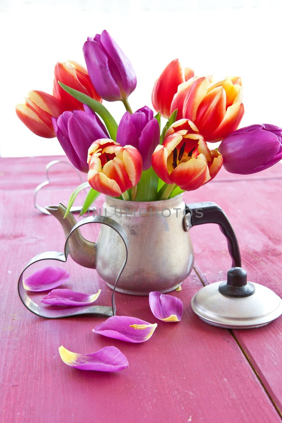 Fresh colorful tulips in small vintage jug