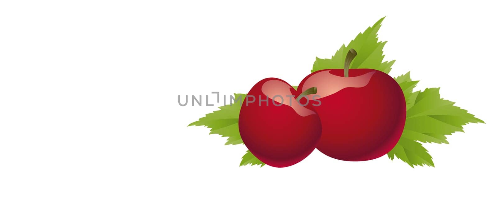 Apples without (New York)