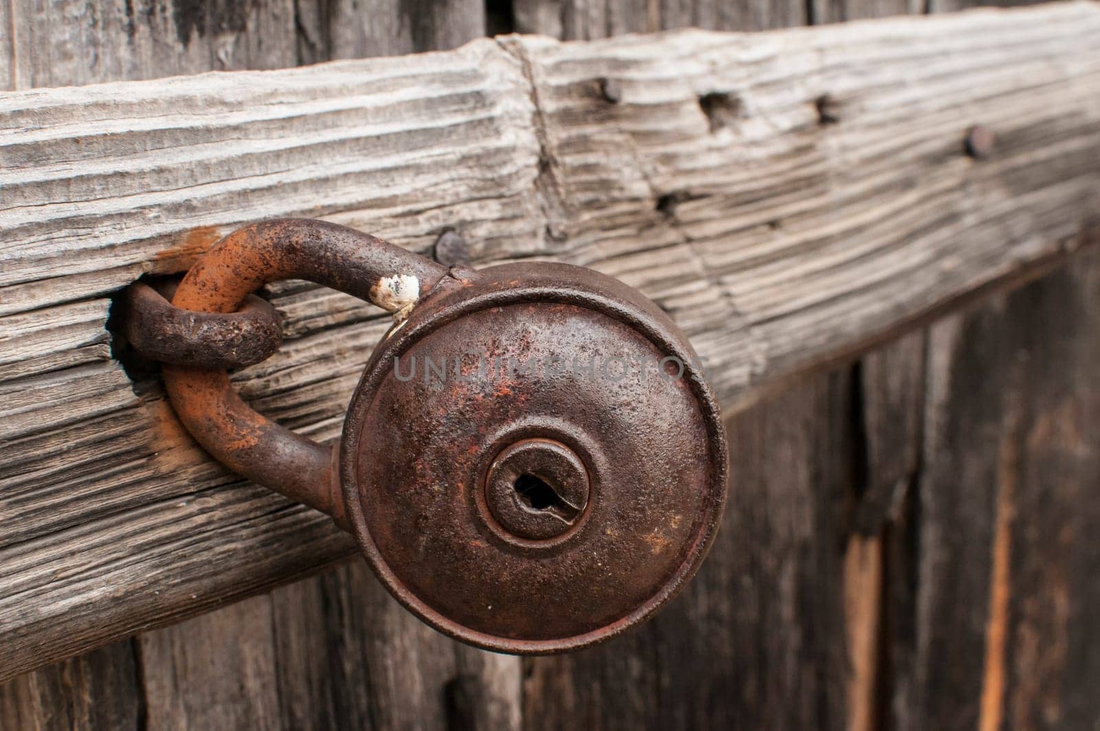 Old rusty padlock on weathered wooden door closeup