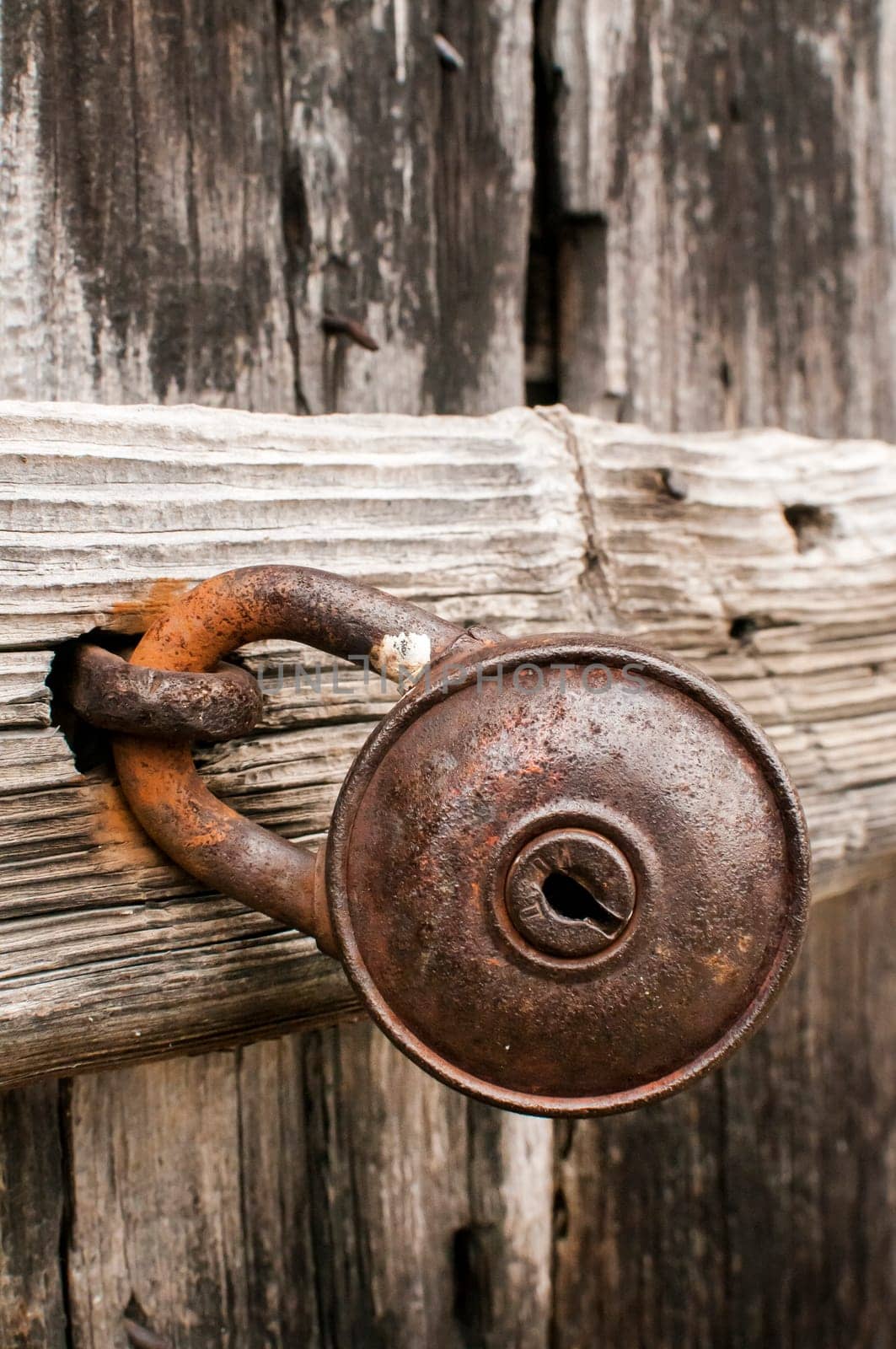 Old rusty padlock on weathered wooden door closeup