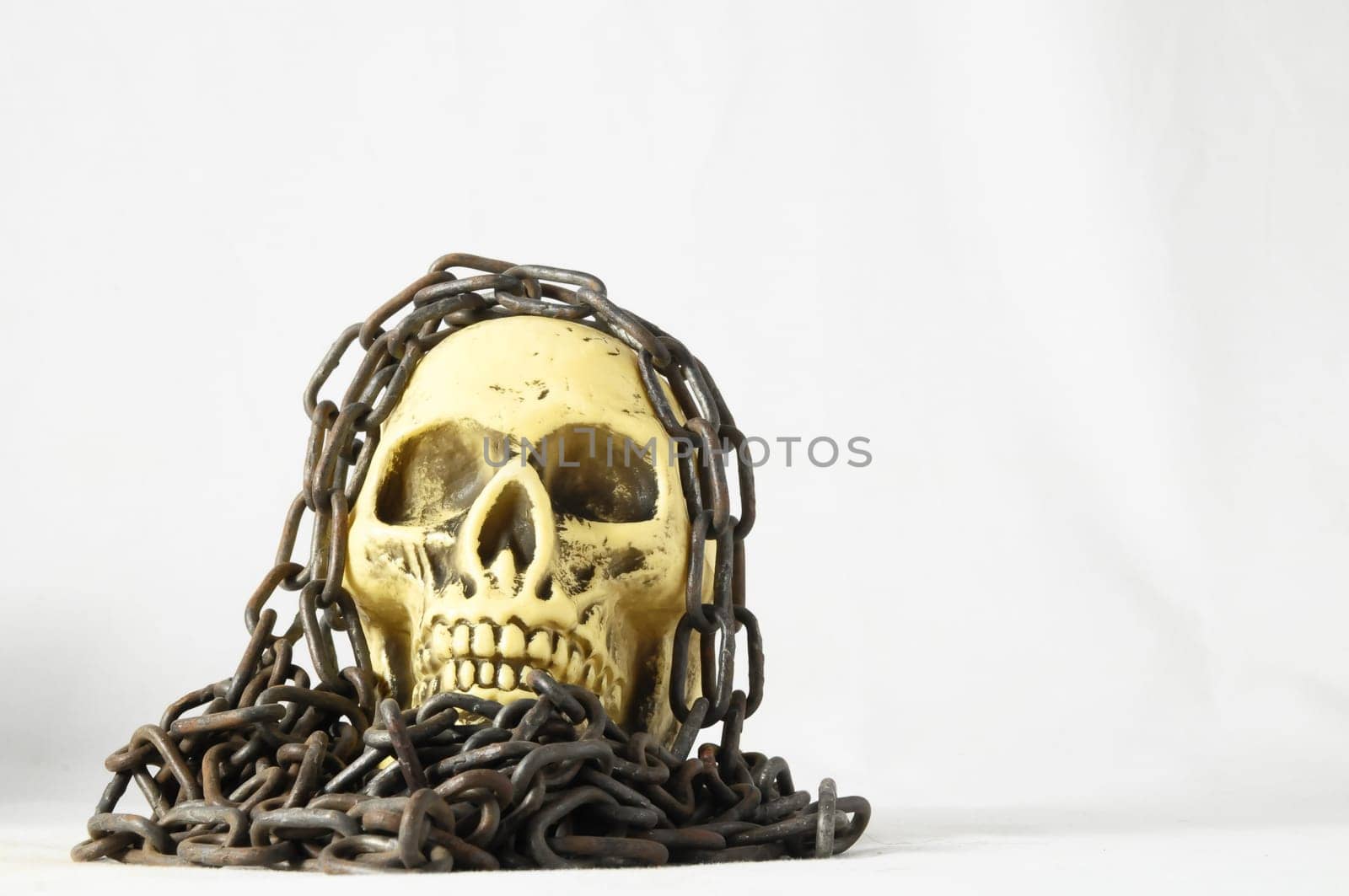 Skull and old Chains on a White Background