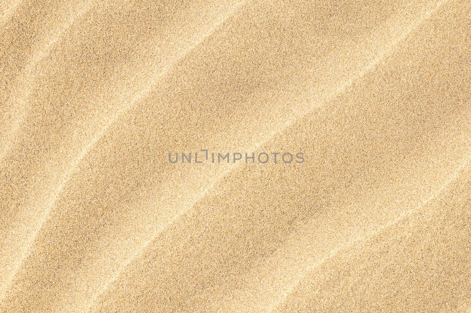 Texture Sand Dune Desert in Gran Canaria Island Spain