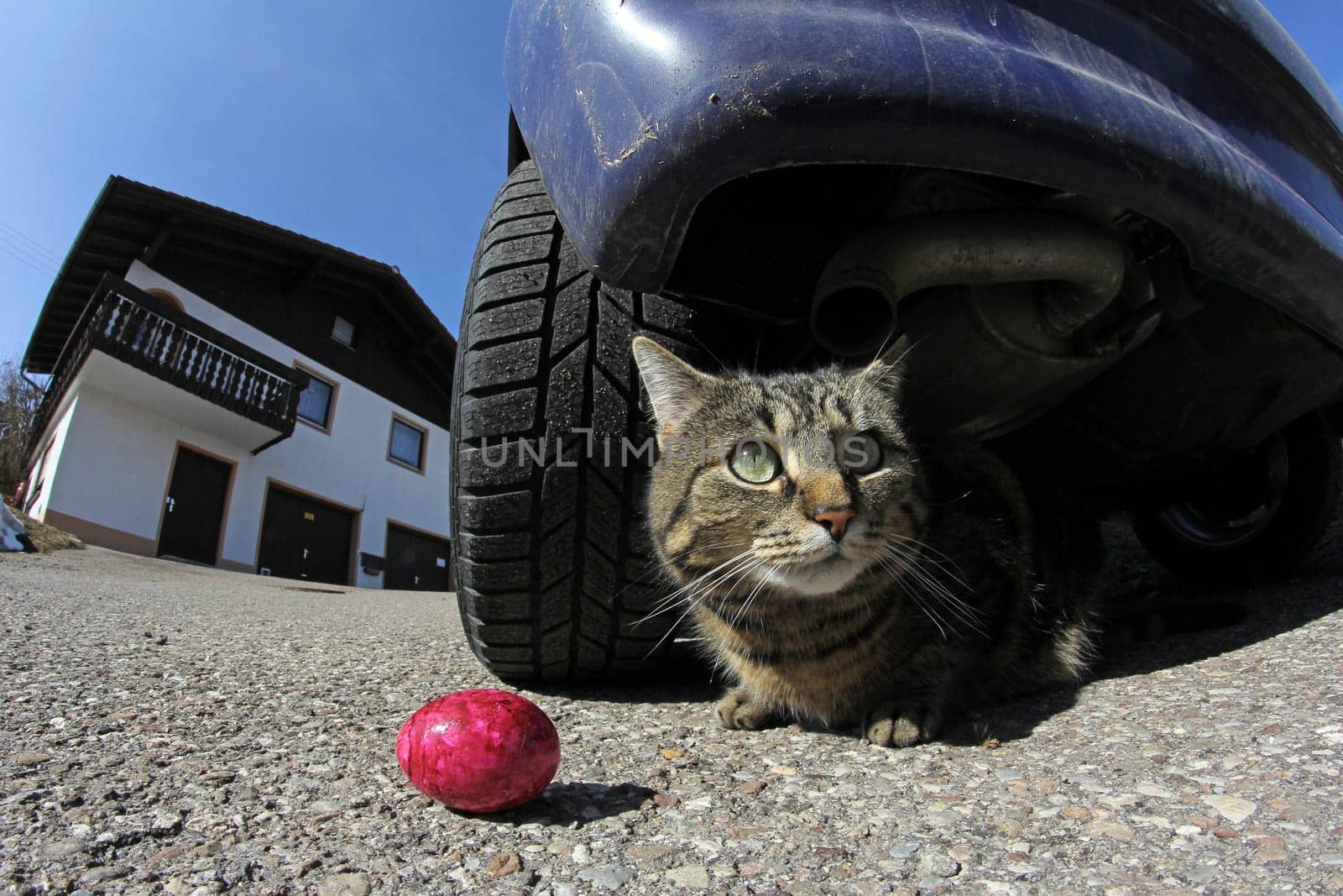 Dangerous Easter