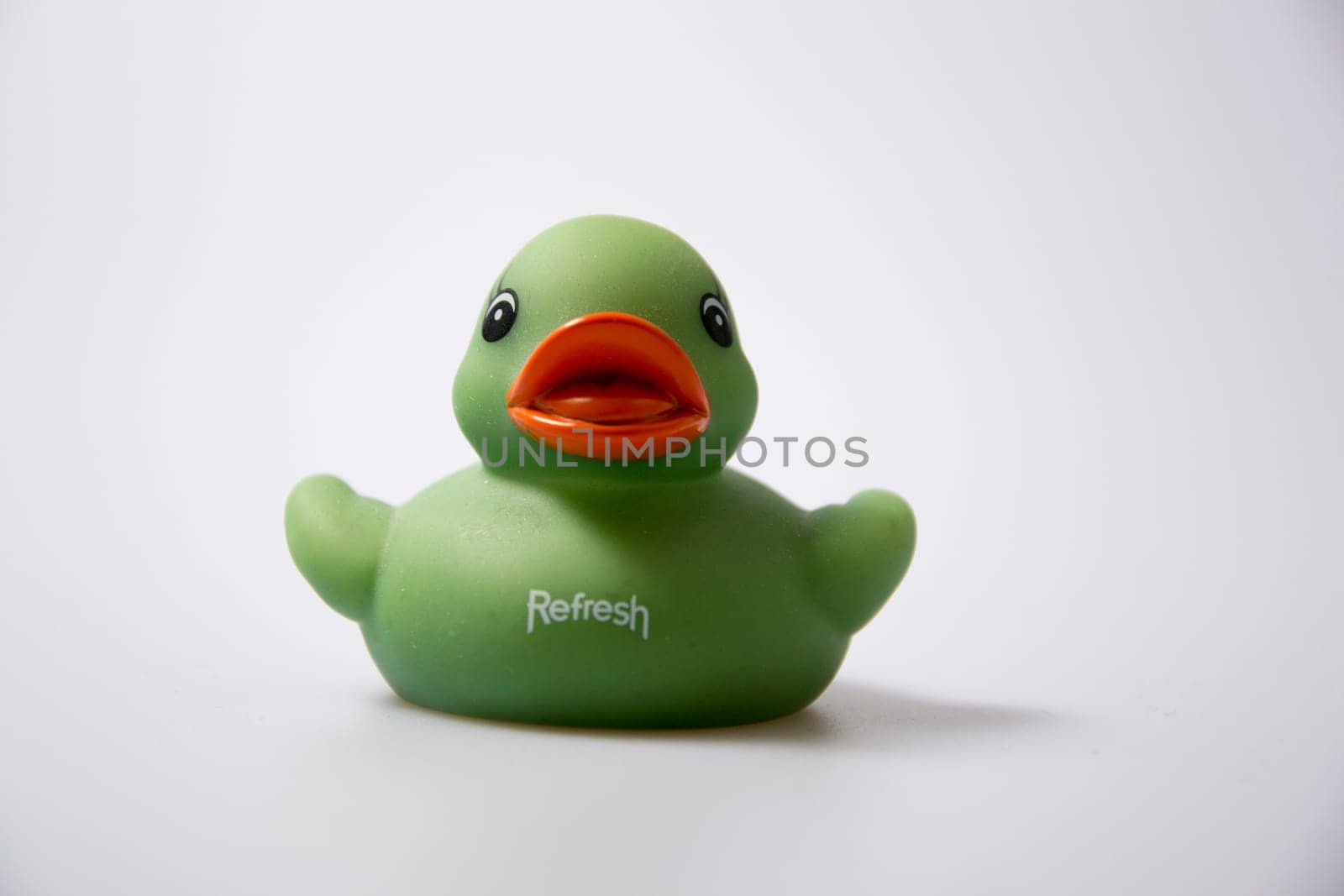 Duck