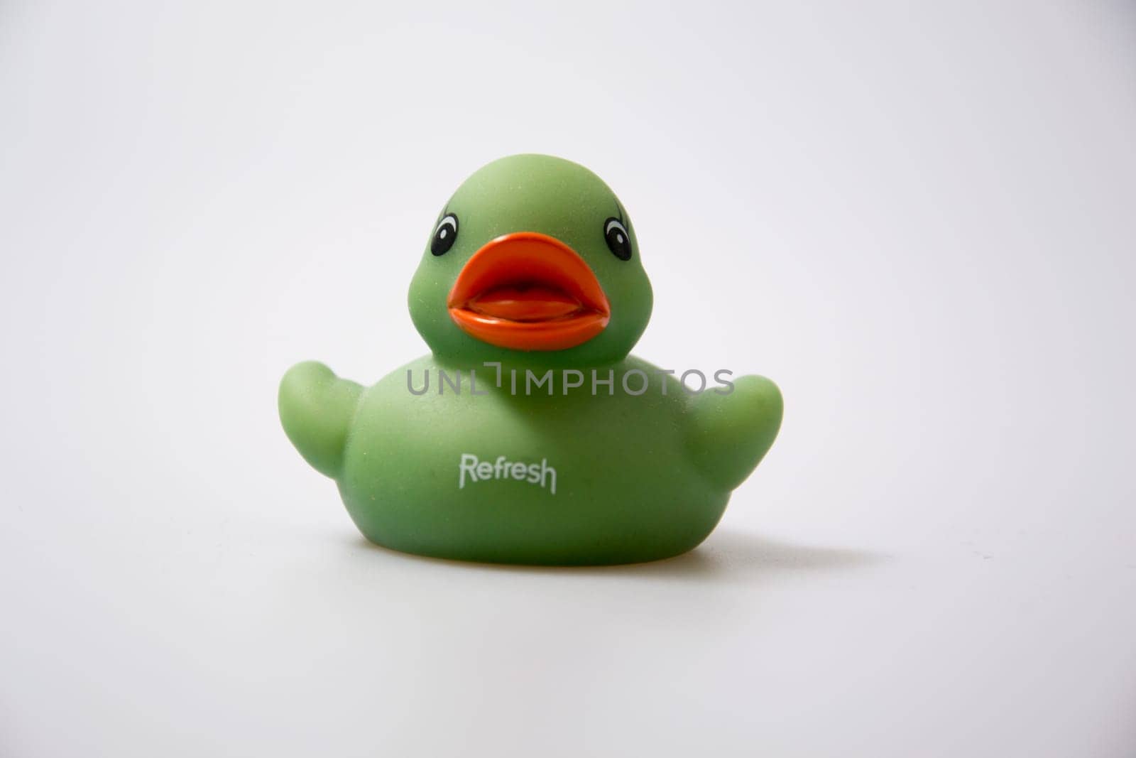 Duck