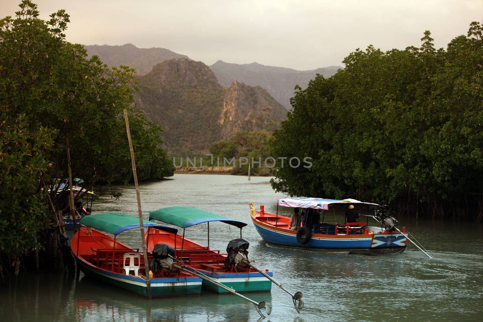 The river landscape of Khao Sam Roi Yot National Park on the Gulf of Thailand in the south western of Thailand in South East Asia.