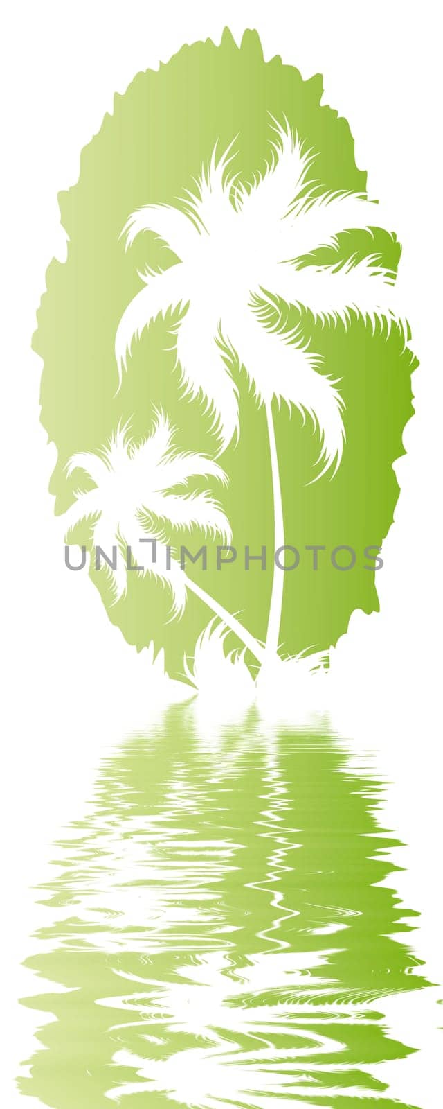 Palm trees