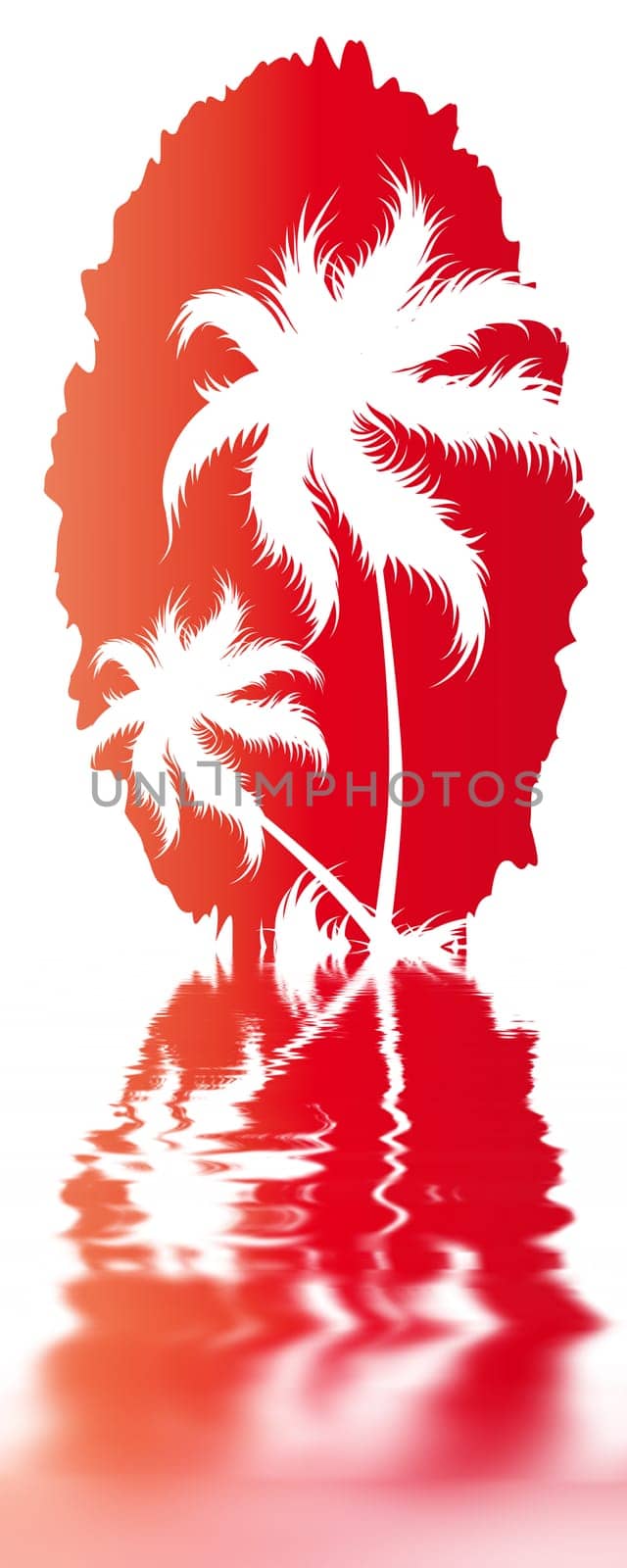 Palm trees