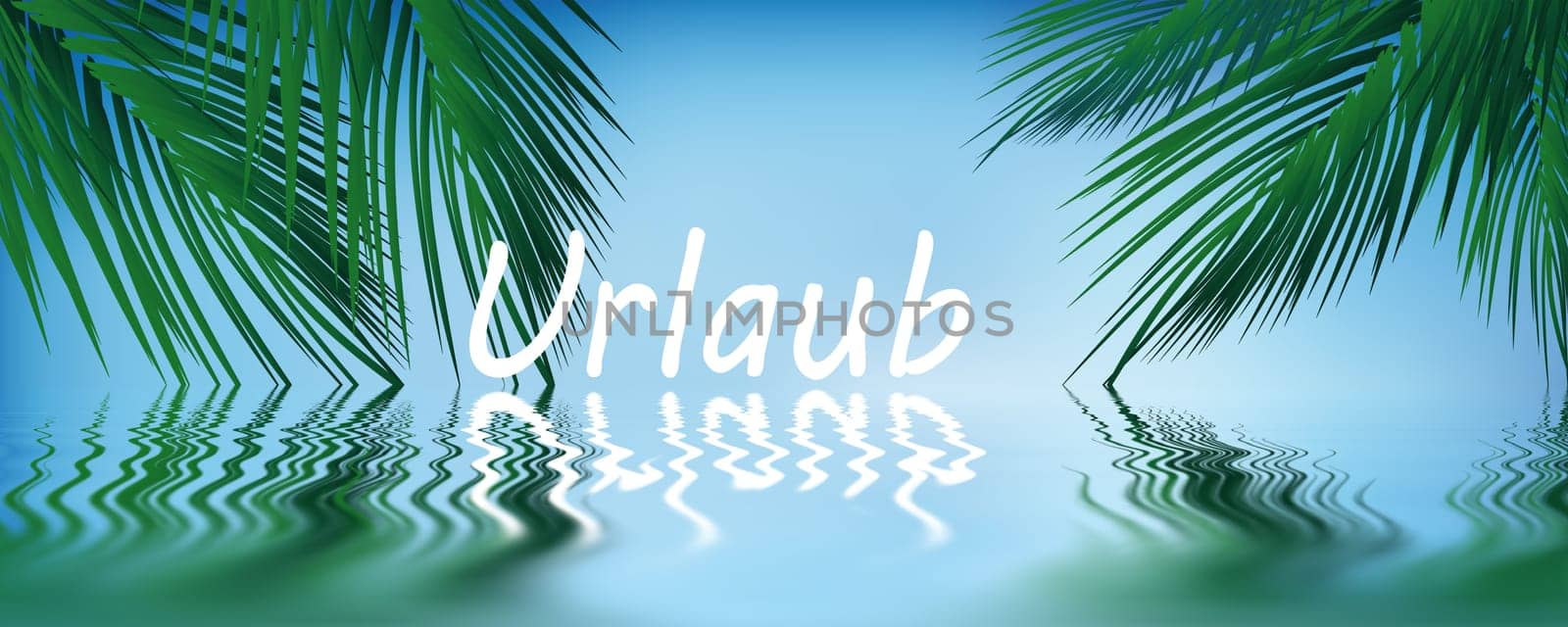 Palm trees