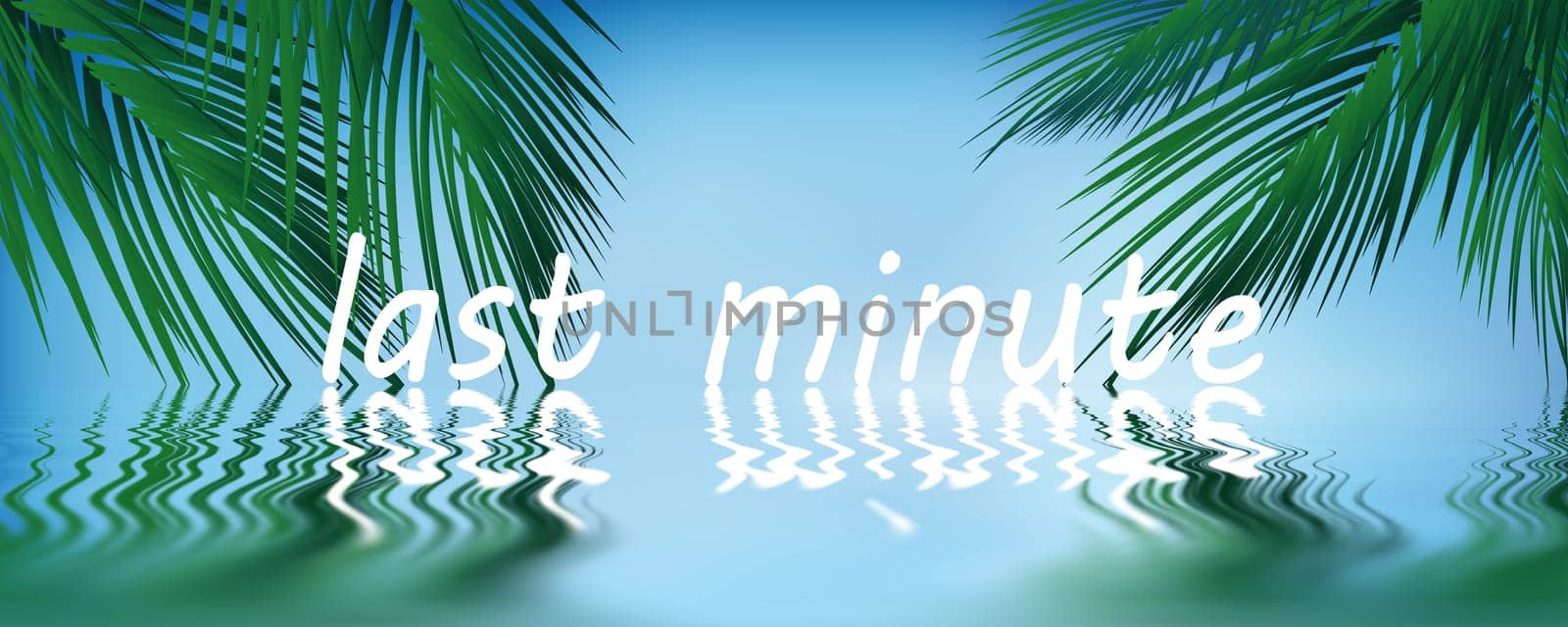 Palm trees