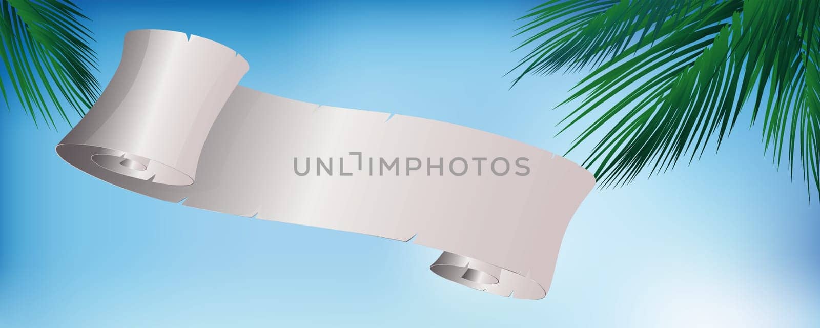 Palm trees