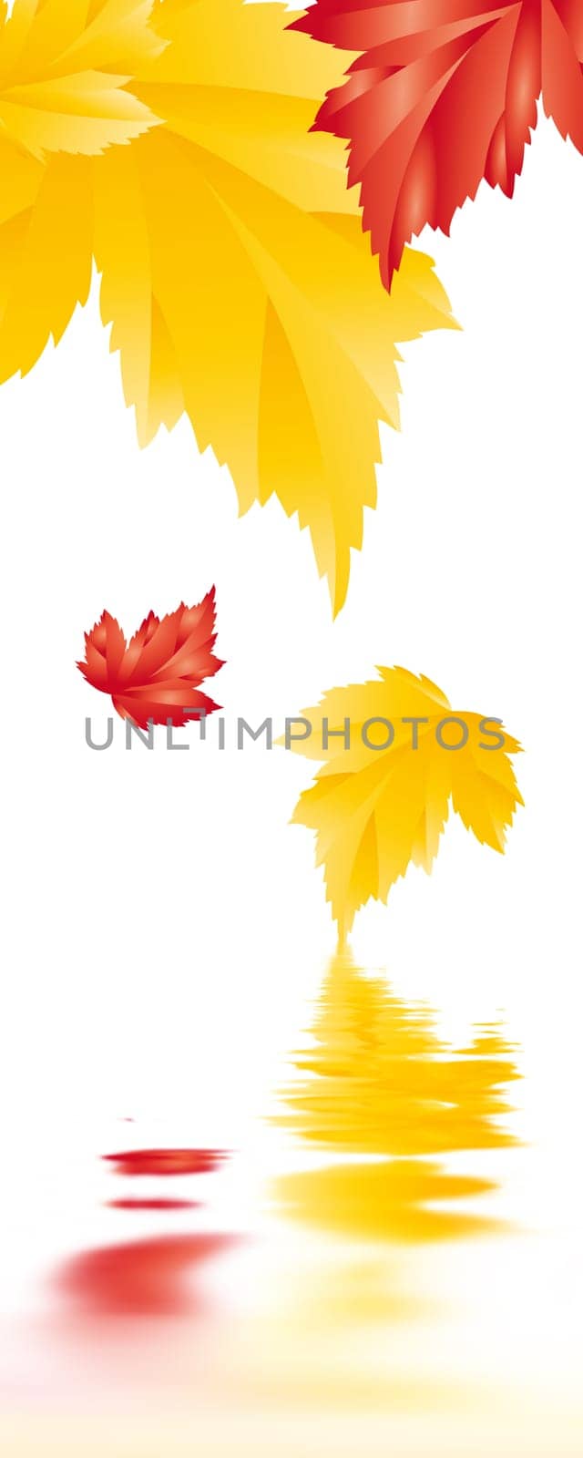 autumn