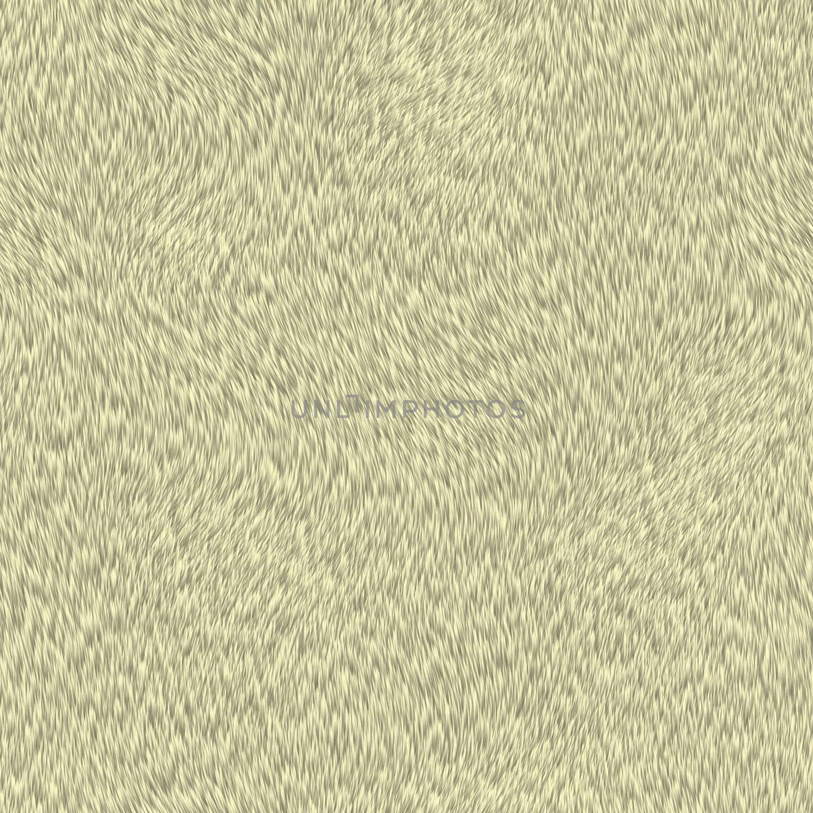 short yellow fur texture