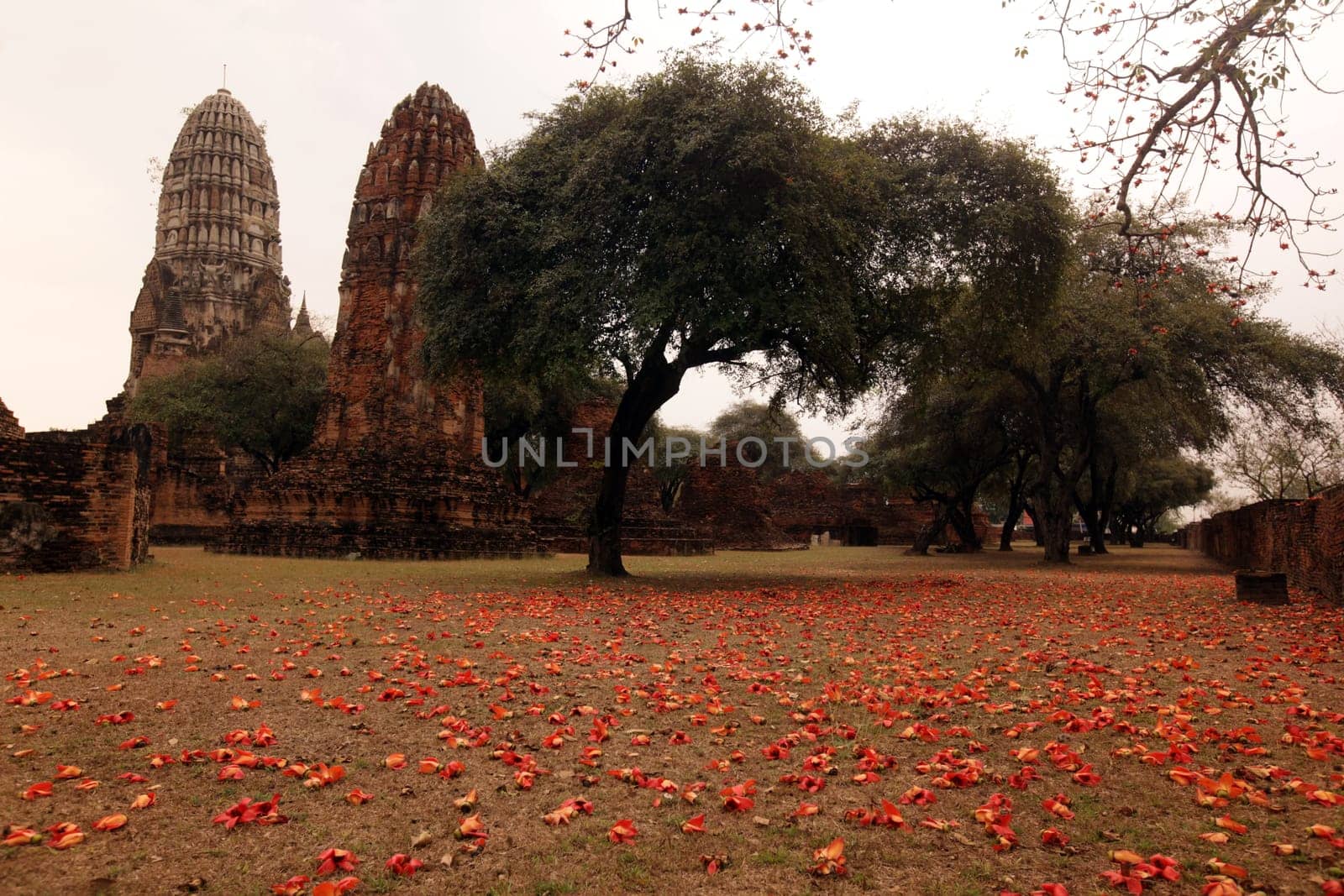 Wat Ratburana Temple in the temple city of Ayutthaya,Thailand.