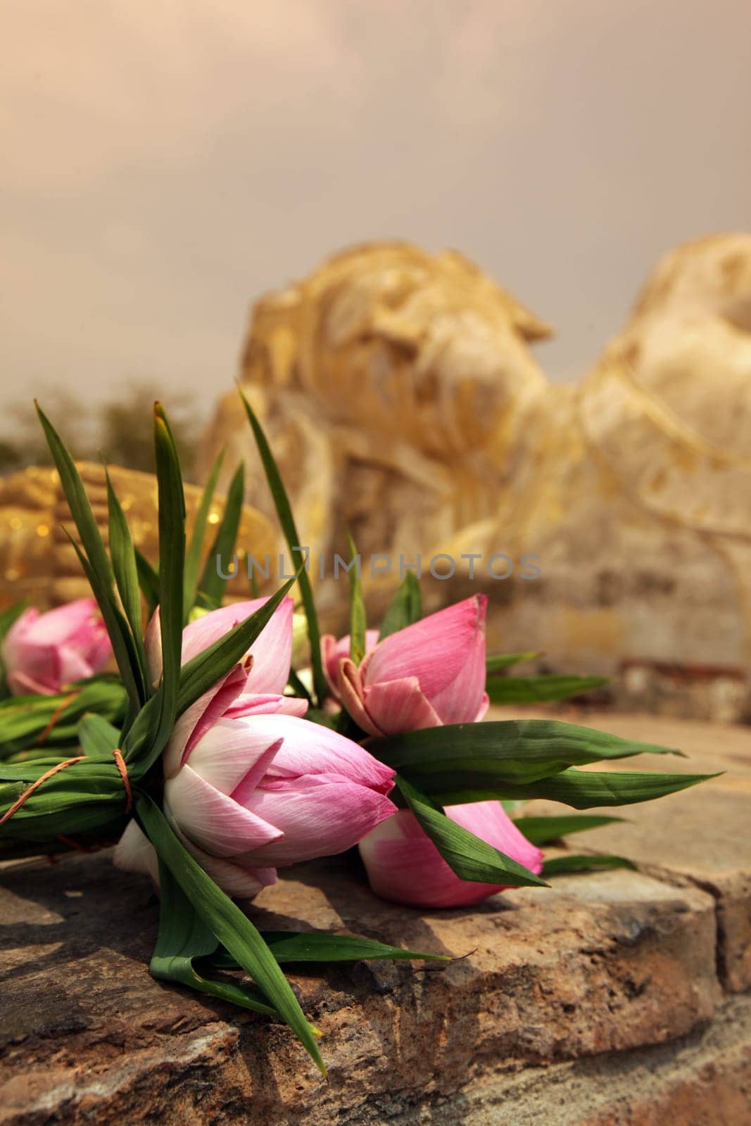 The Reclining Buddha at Wat Lokaya Sutha Temple in the temple city of Ayutthaya,Thailand.