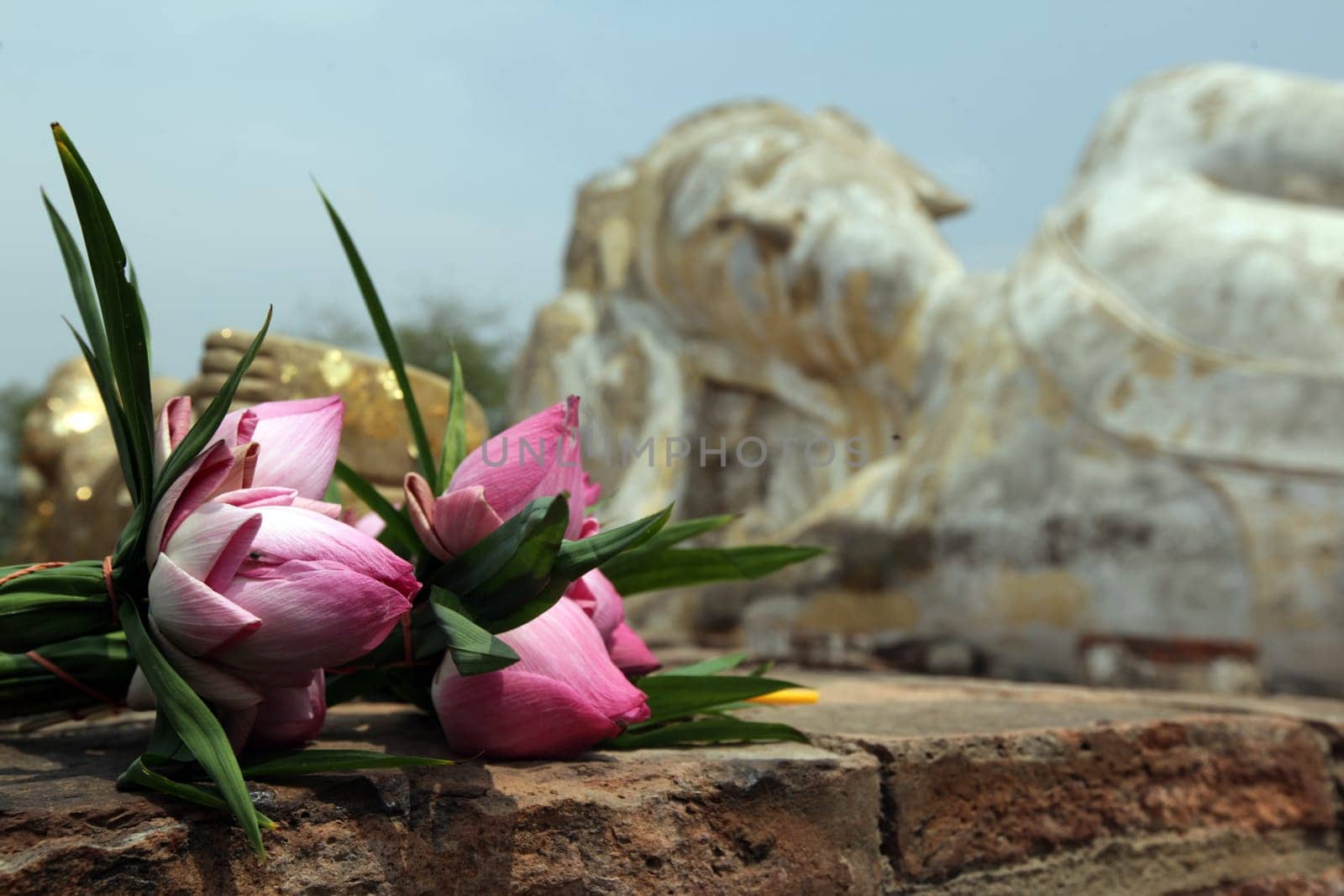 The Reclining Buddha at Wat Lokaya Sutha Temple in the temple city of Ayutthaya,Thailand.