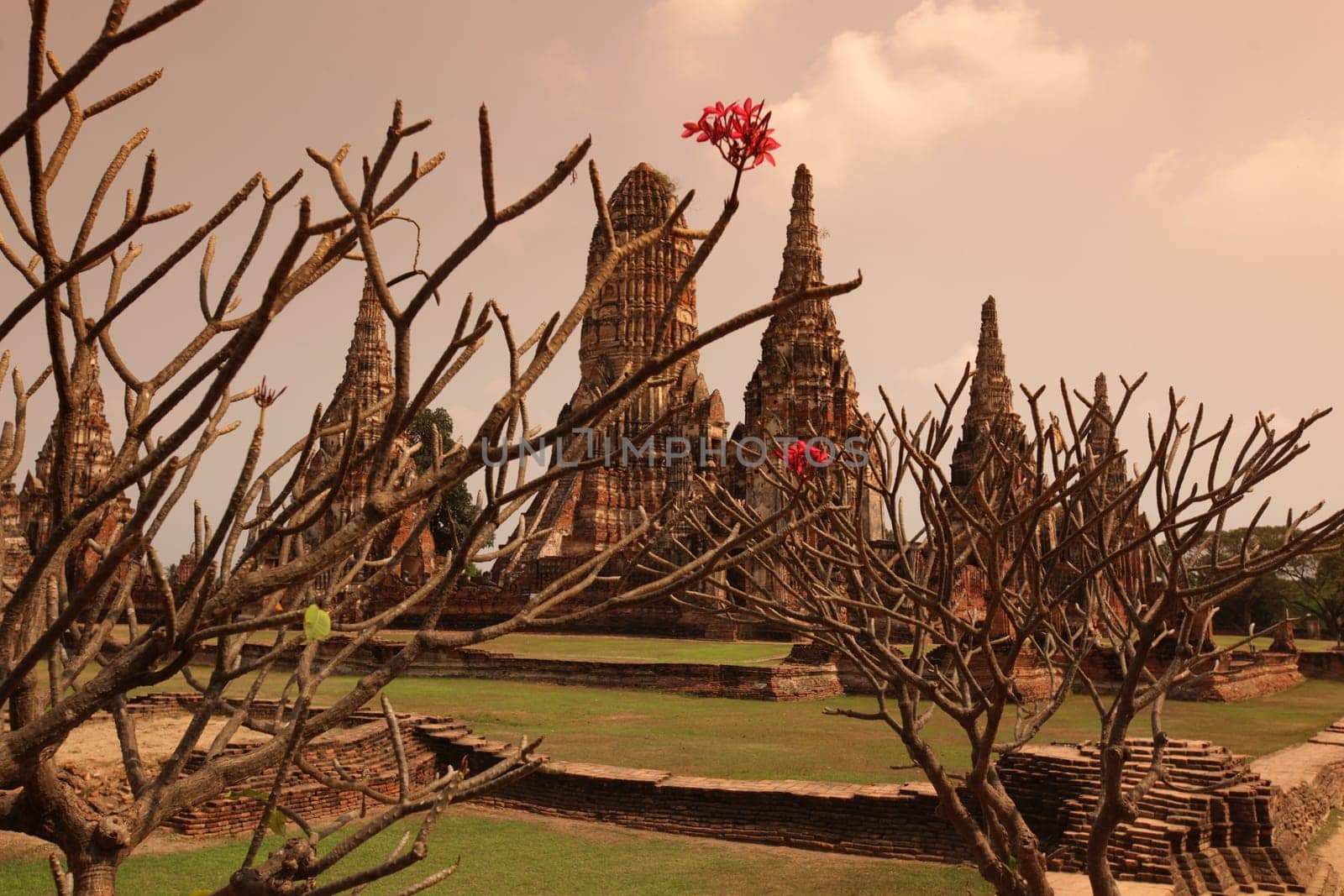 Wat Chai Wattanaram Temple in the temple city of Ayutthaya,Thailand.