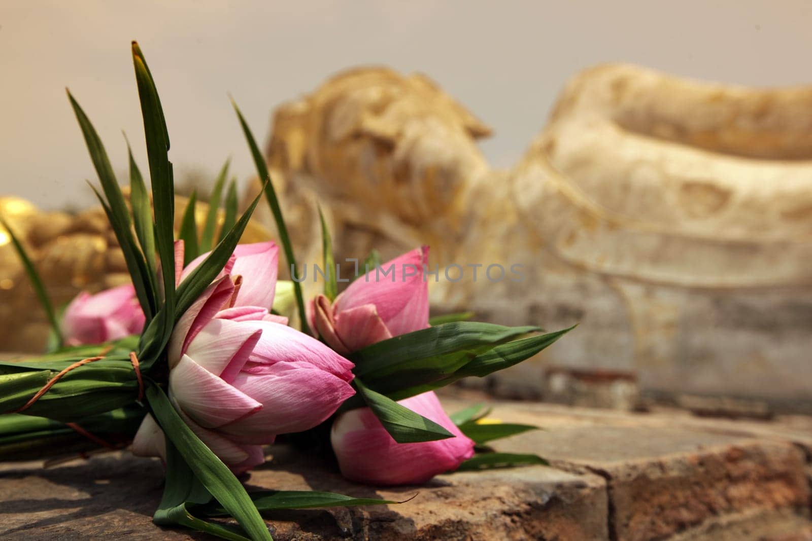 The Reclining Buddha at Wat Lokaya Sutha Temple in the temple city of Ayutthaya,Thailand.