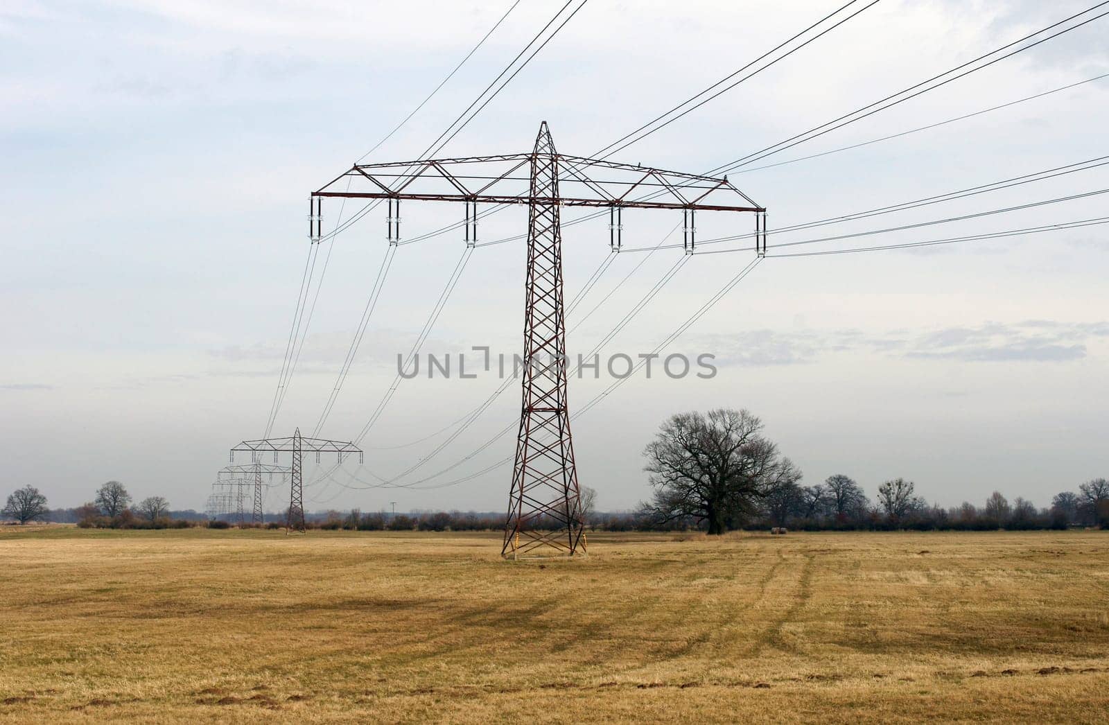 The photograph of high-voltage power lines in the landscape.
