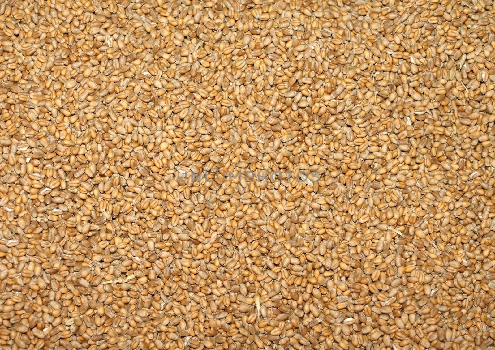 Close-up and top view on grains.
