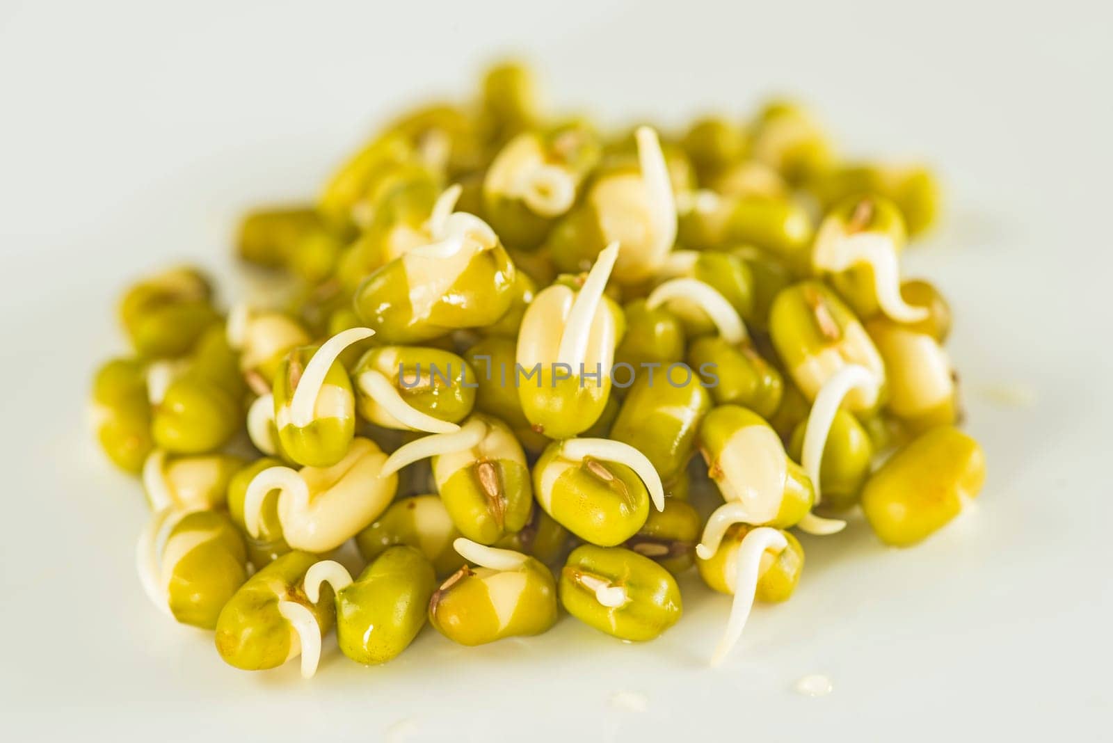Soybean sprouts