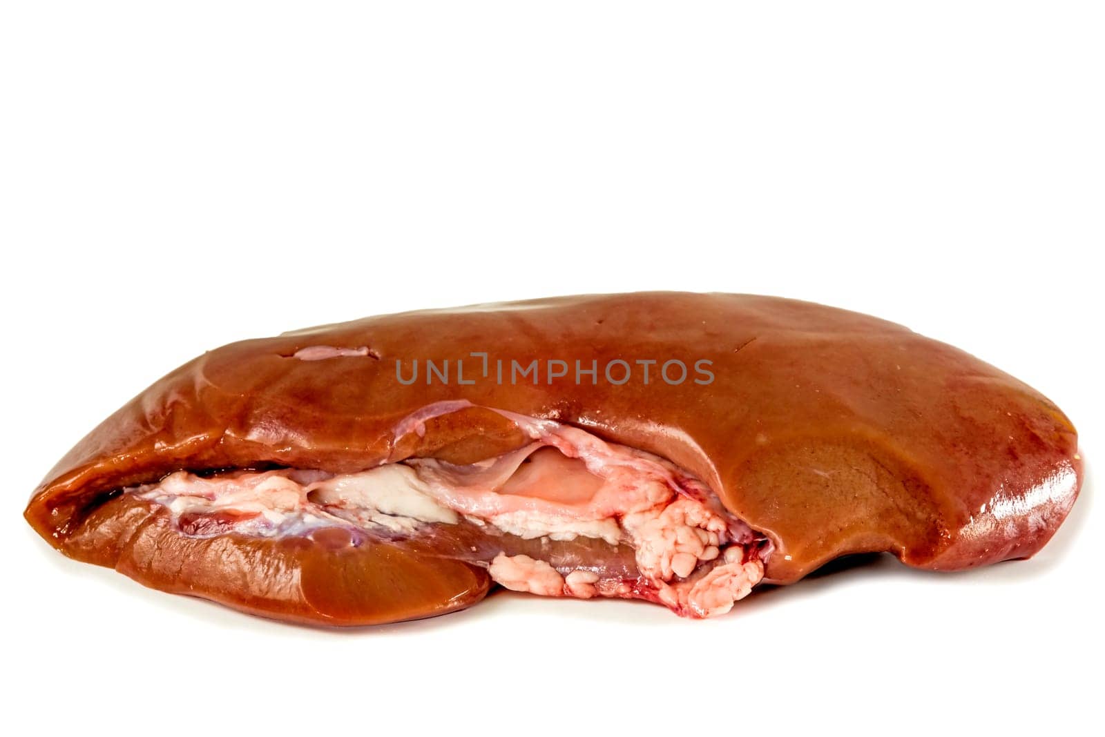 Kidney of a pig