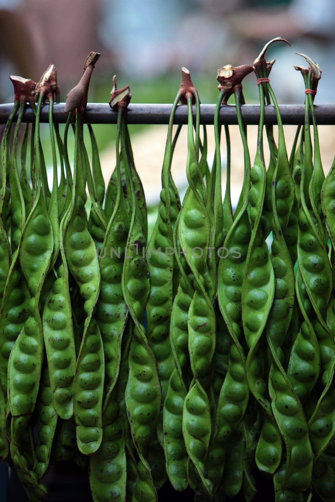 Peas at the market of Nonthaburi in the north of Bangkok the capital of Thailand in South East Asia.
