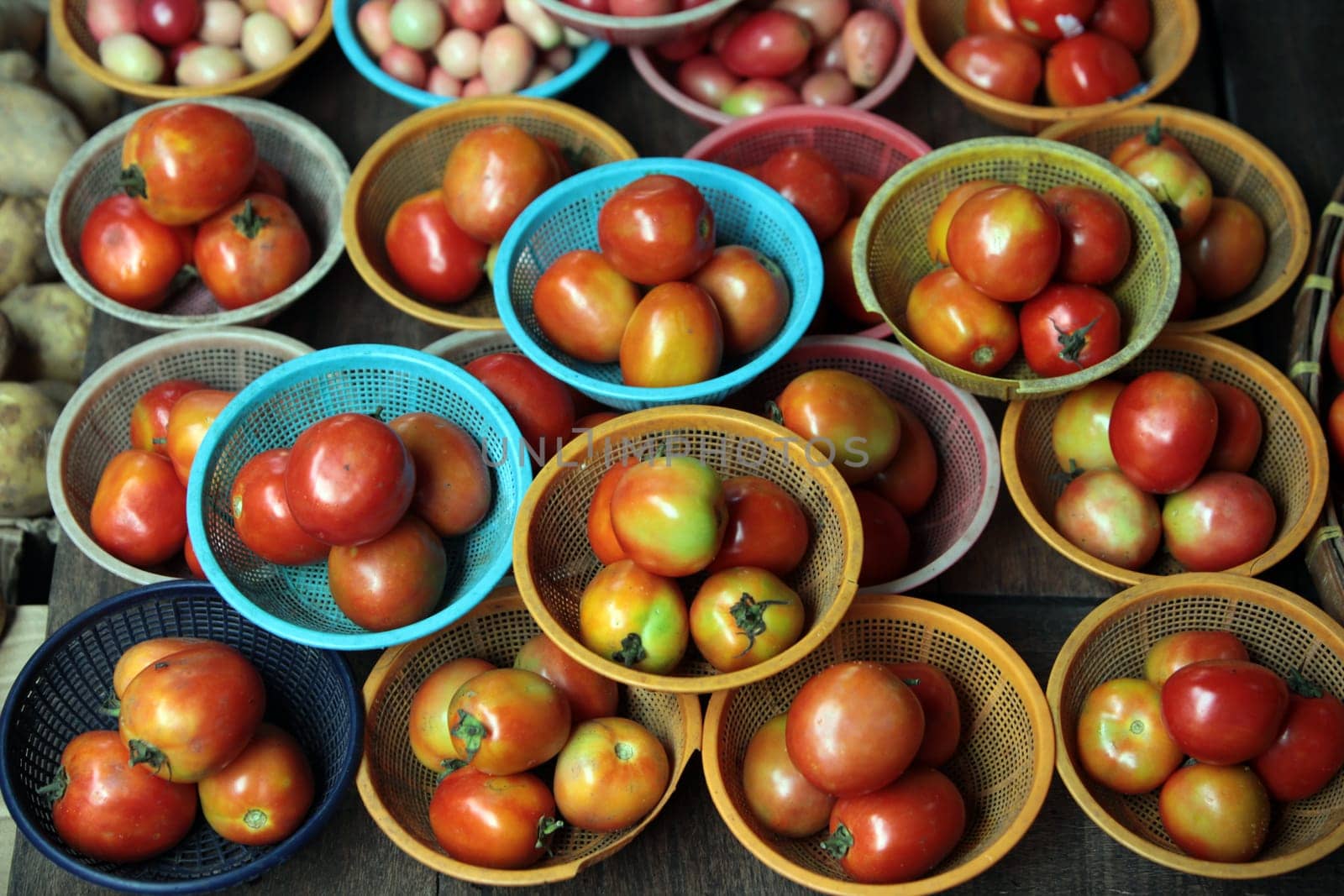 Tomatoes at the market of Nonthaburi in the north of Bangkok the capital of Thailand in South East Asia.