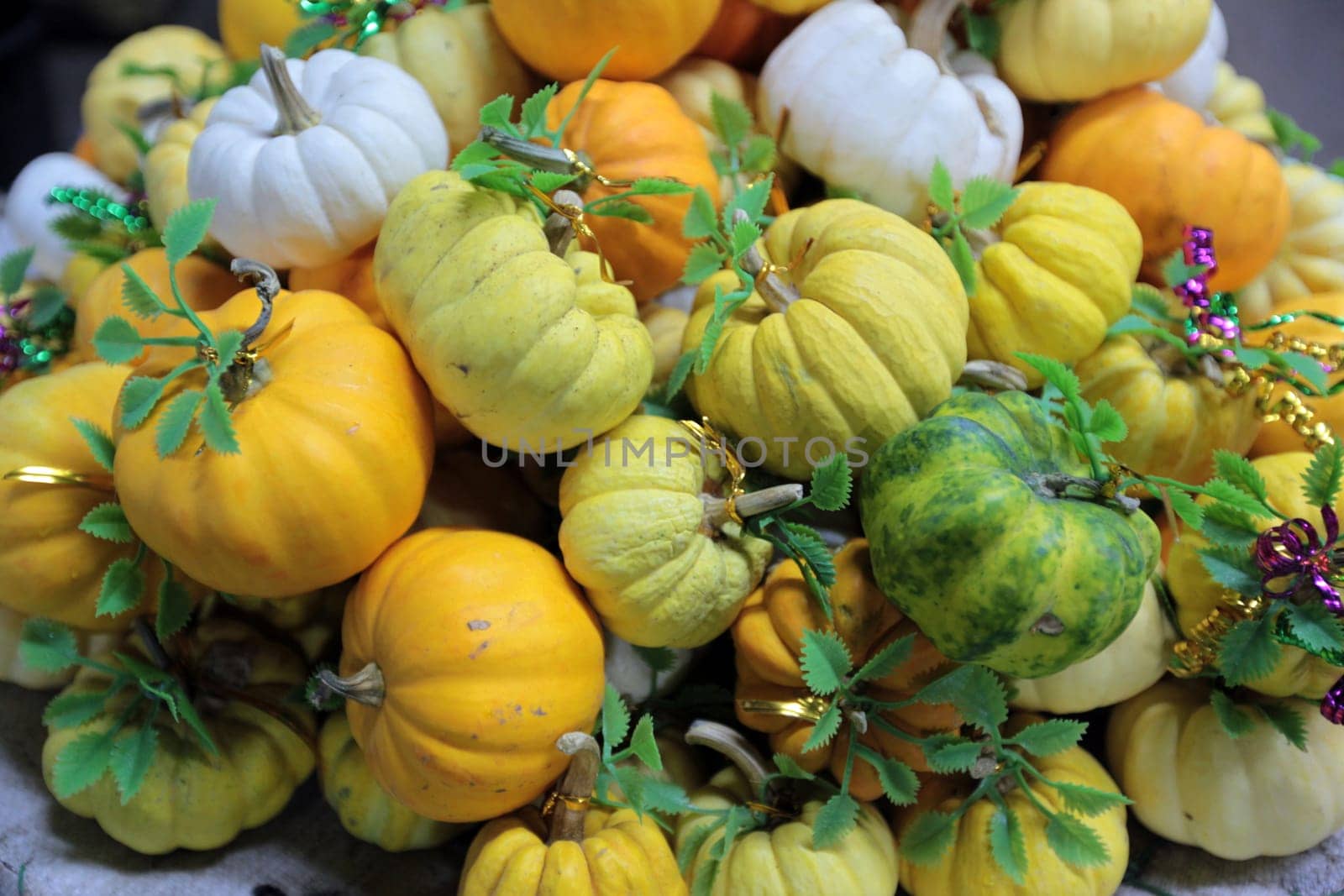 Kuerbis at the Pak Khlong Market of Bangkok the capital of Thailand in South East Asia.
