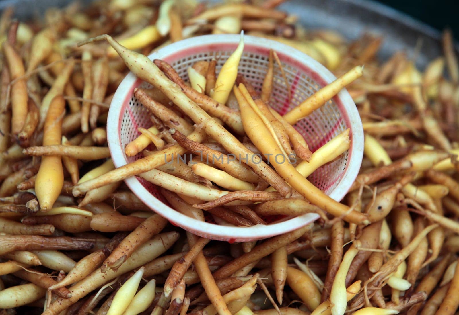 Root Gemuese at the market of Nonthaburi in the north of Bangkok the capital of Thailand in South East Asia.