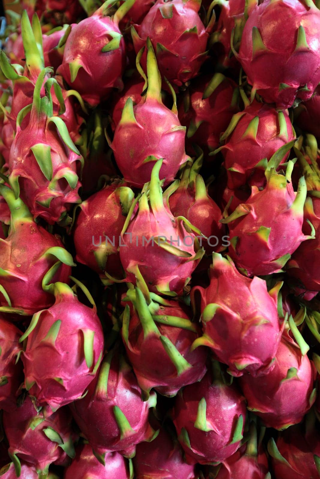 Dragon breakfast at the Pak Khlong Market of Bangkok,the capital of Thailand in South East Asia.