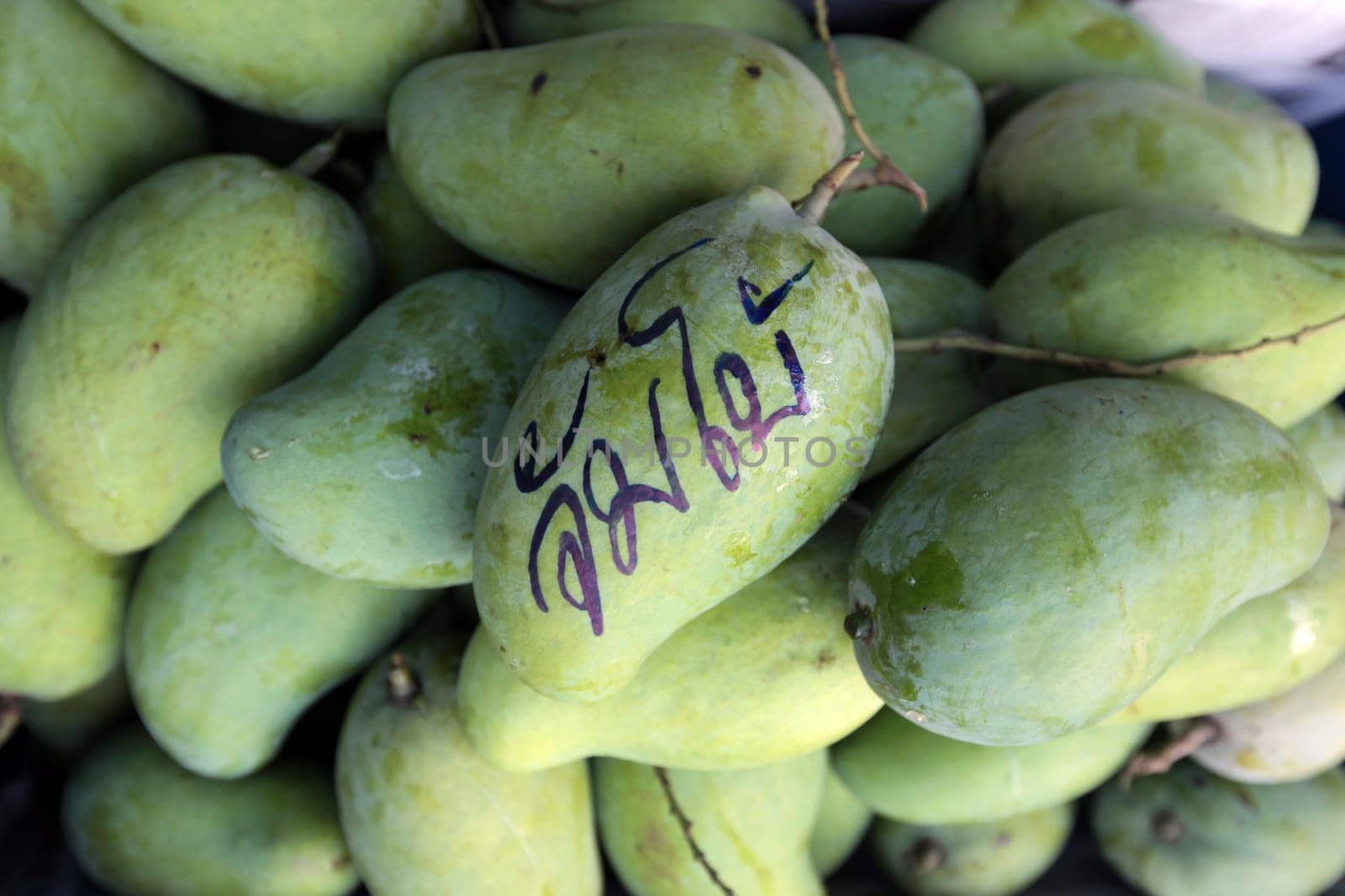 Gruene mangoes at the Pak Khlong Market of Bangkok's capital of Thailand in South East Asia.