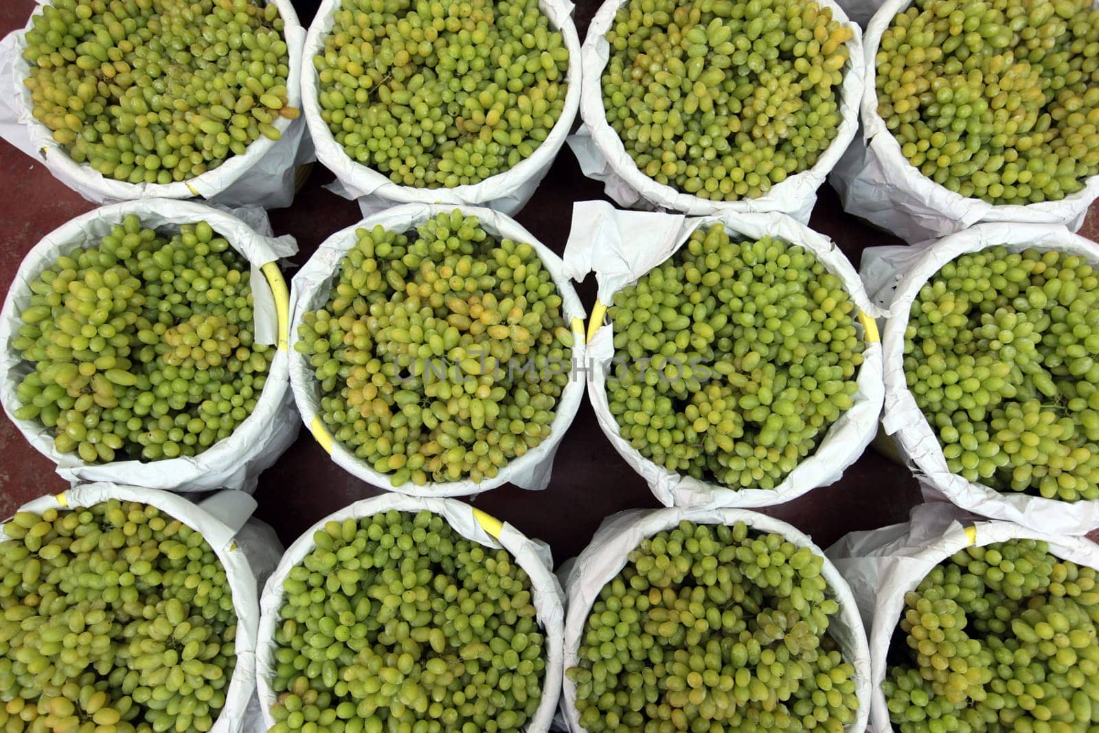 Grapes at the Pak Khlong Market of Bangkok's capital of Thailand in South East Asia.
