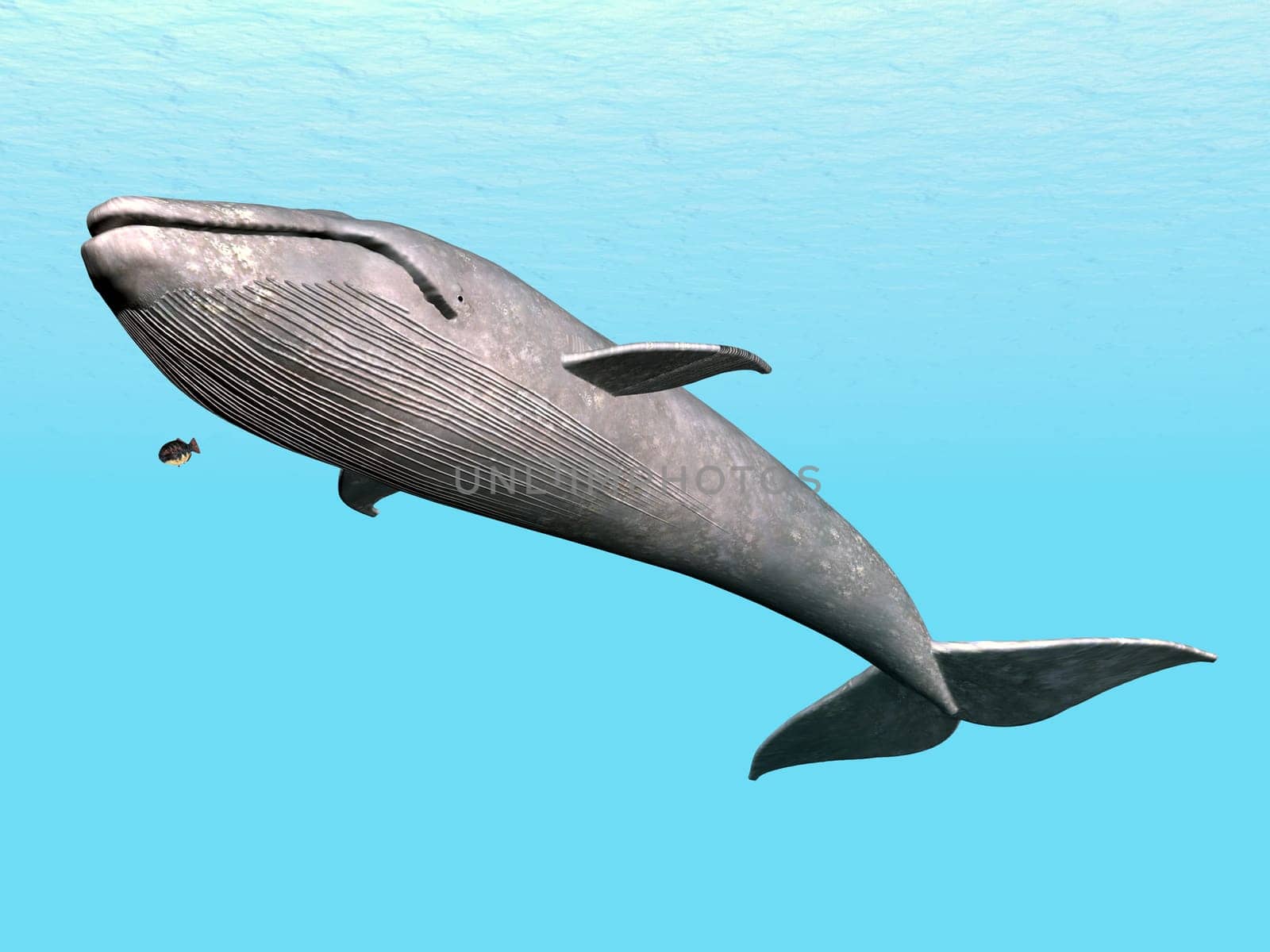 Computer-generated 3D illustration with a blue whale