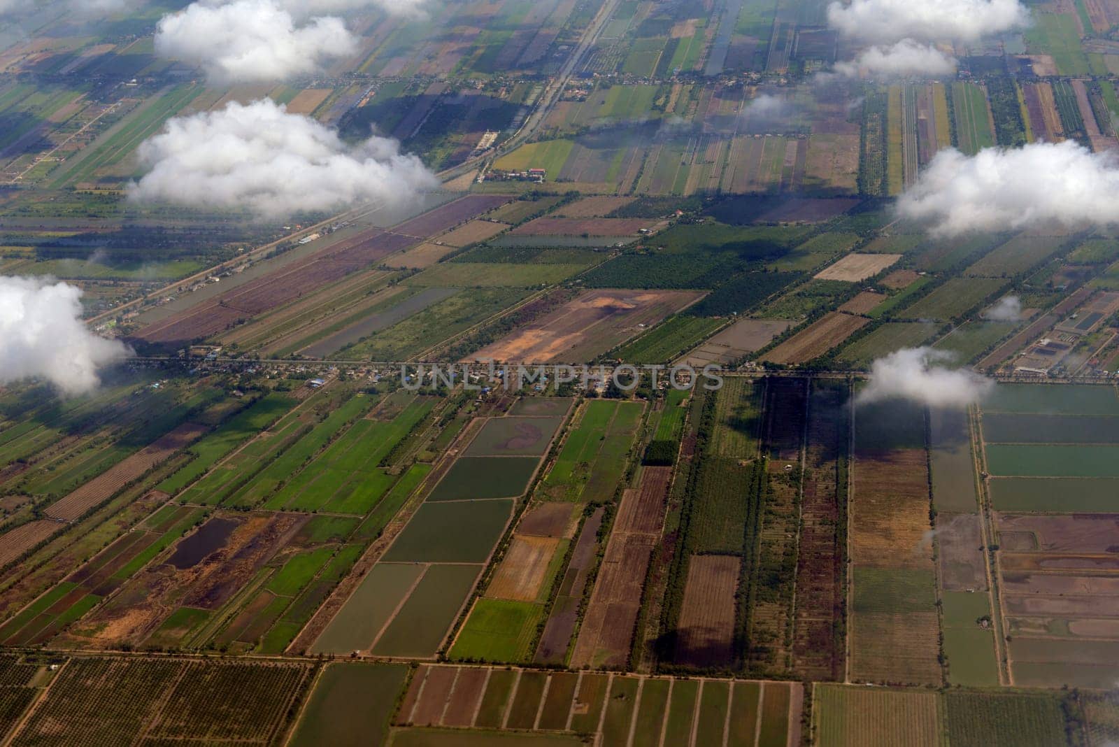 The landscape with agricultural operated east of the capital Bangkok of Thailand in South East Asia.