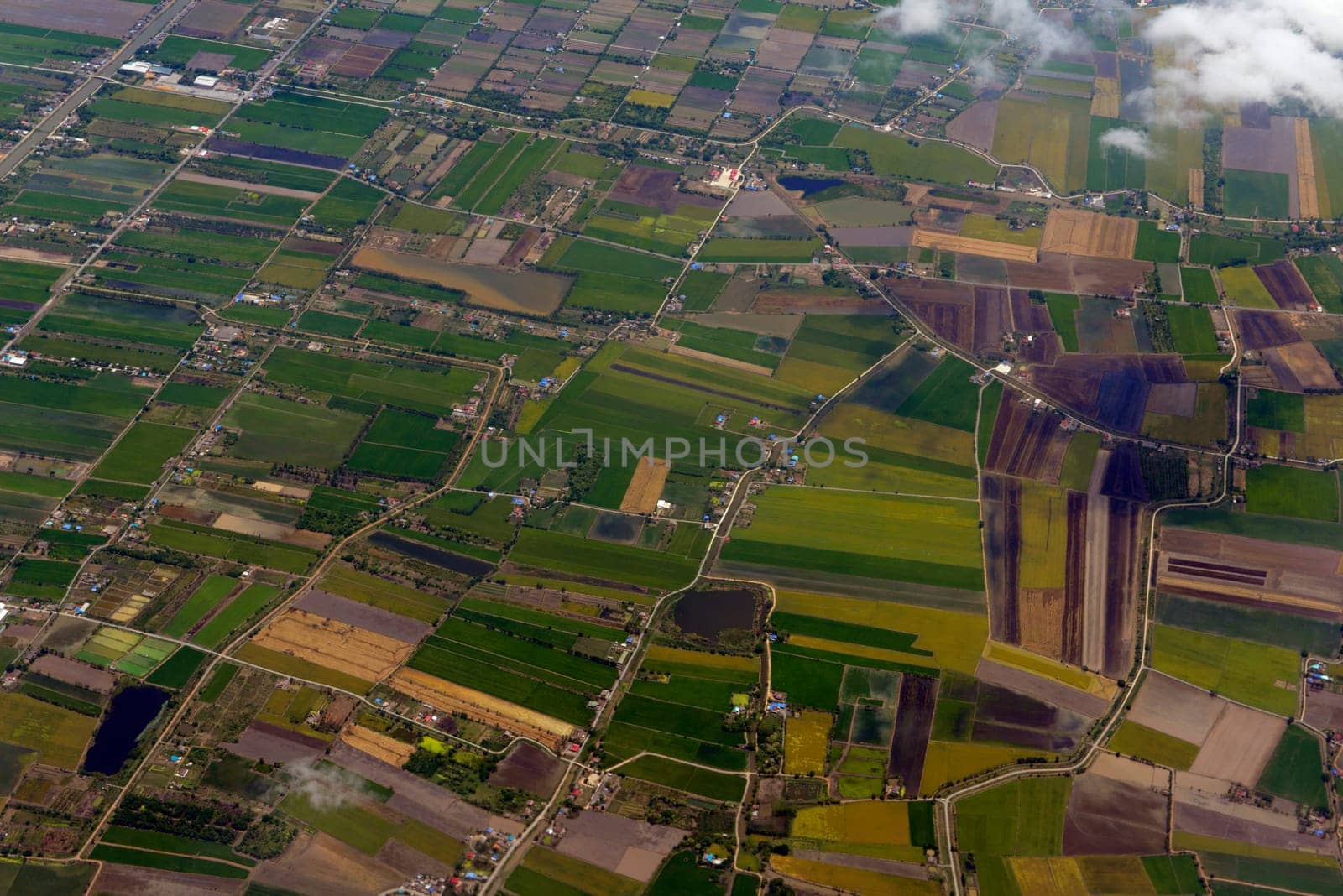 The landscape with agricultural operated east of the capital Bangkok of Thailand in South East Asia.