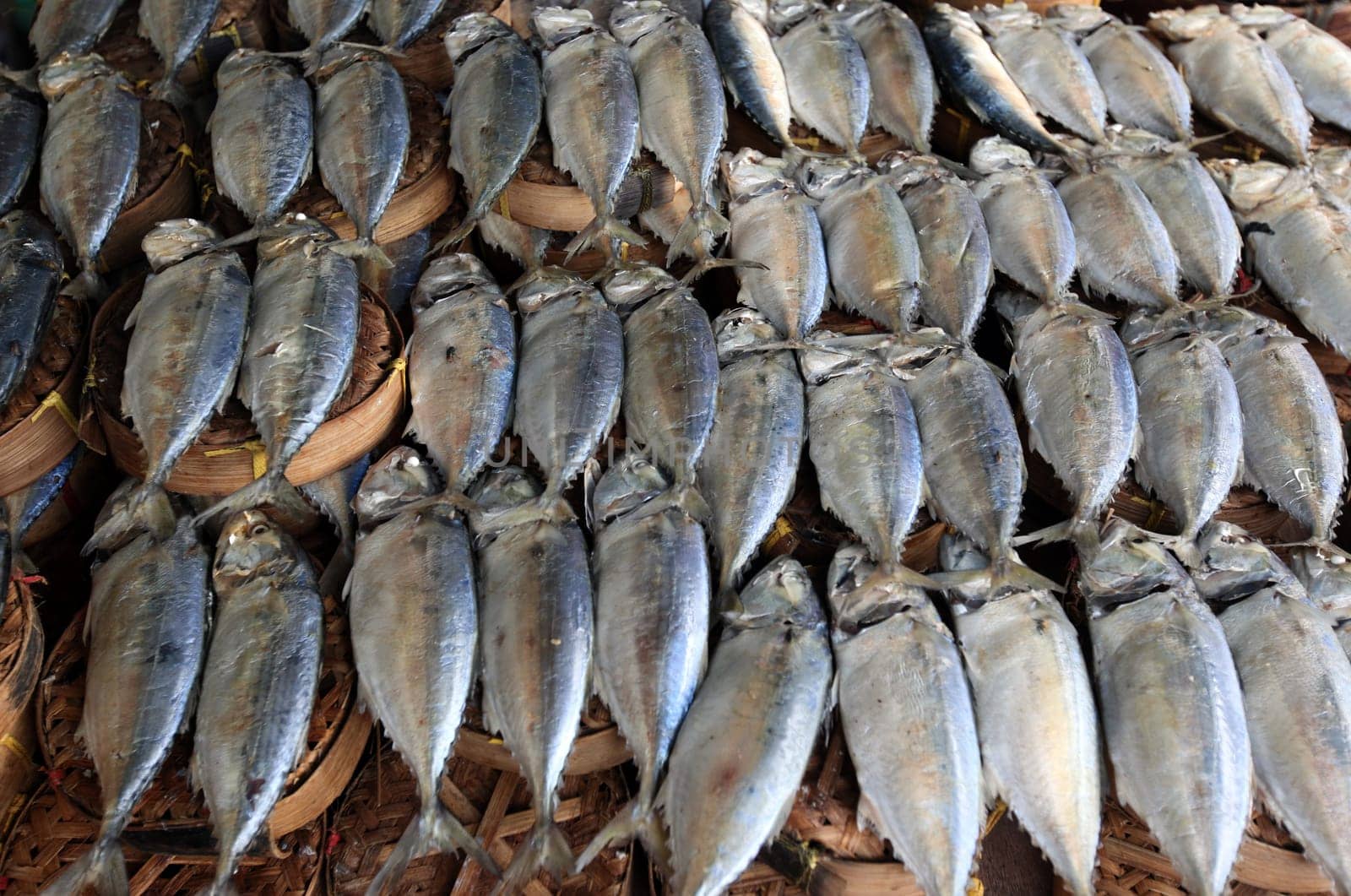 Fish at the Thewet Market in the center of the capital Bangkok in Thailand.