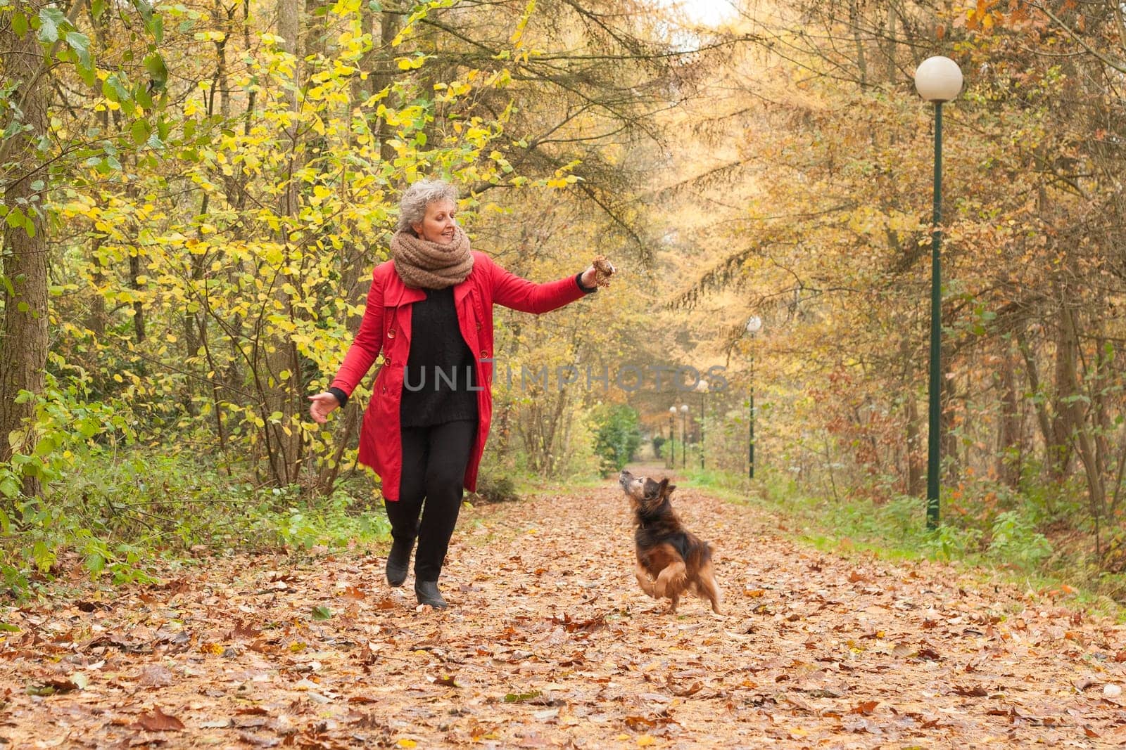 Middle aged woman in the autumn forest with her dog