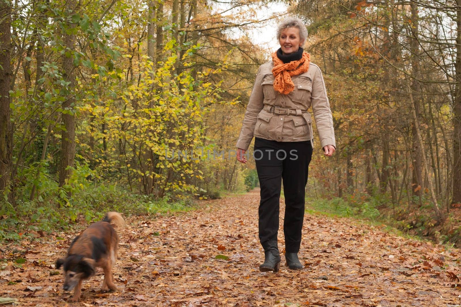 Middle aged woman in the autumn forest with her dog