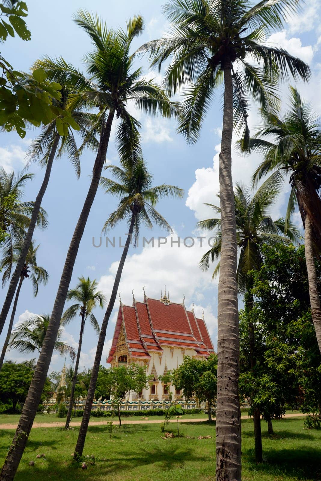 The temple Wat Pak Saeng near Lakhon Pheng on the Mekong River in Amnat Charoen province northwest of Ubon Ratchathani in northeastern Thailand in South East Asia.
